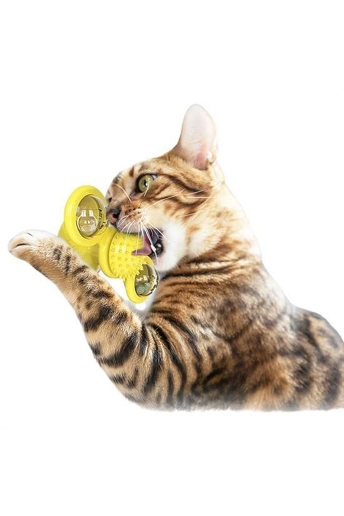 Tbl Dekor® Pet Malzemeleri Vantuzlu Fırıldak Toplu Dönen Şeffaf Depo Tasarım İnteraktif Kedi Oyuncağı