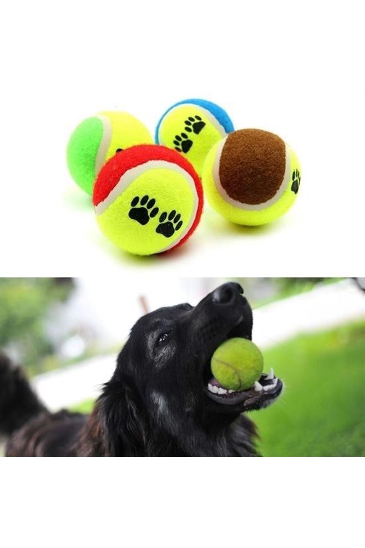 Tbl Dekor®  3lü Renkli Desenli Tenis Topu Kedi Köpek Oyuncağı