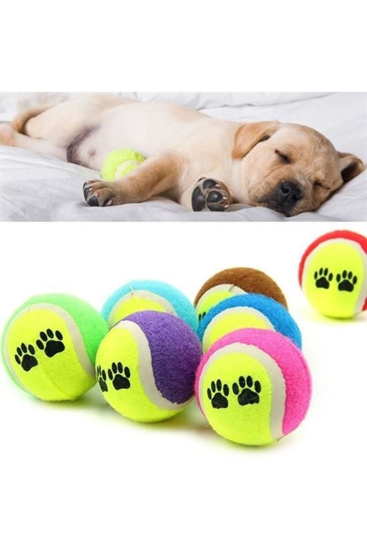 Tbl Dekor®  3lü Renkli Desenli Tenis Topu Kedi Köpek Oyuncağı