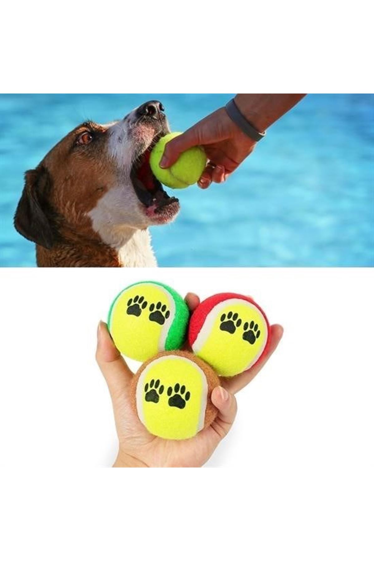 Tbl Dekor®  3lü Renkli Desenli Tenis Topu Kedi Köpek Oyuncağı