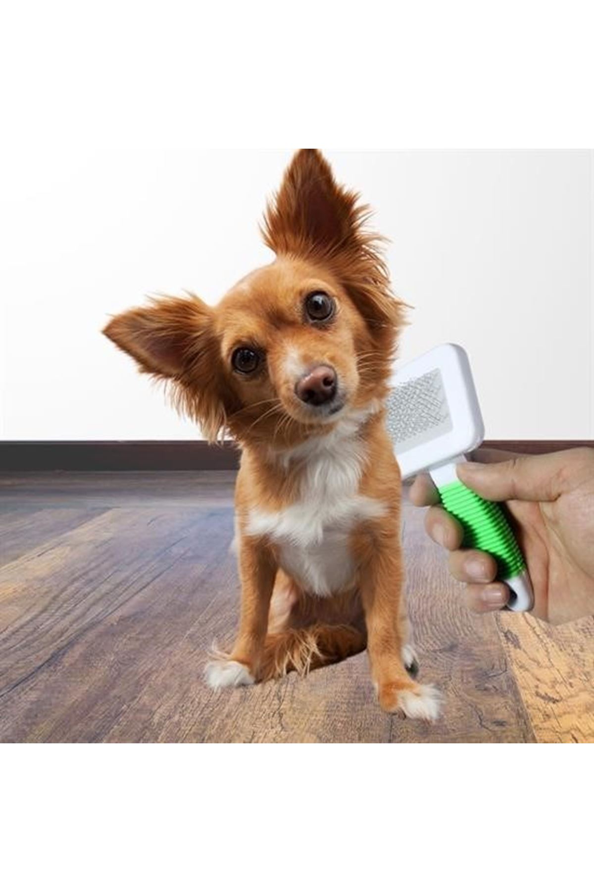 Tbl Dekor® Kedi Köpek Telli Küçük Boy Tüy Bakım Seti Evcil Hayvan Tarama Fırçası