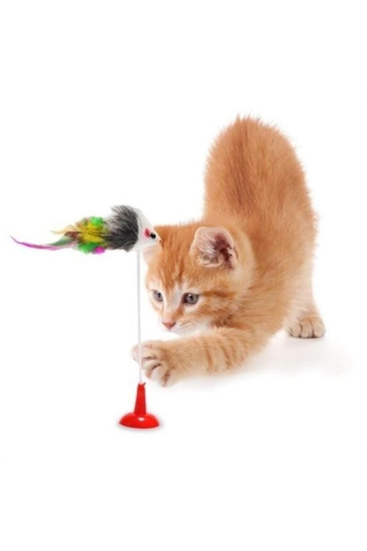 Tbl Dekor® 2li Vantuzlu Fareli Tüylü Hareketli Çanlı ve Esneyen Eğlenceli Peluş Kedi Oyuncağı