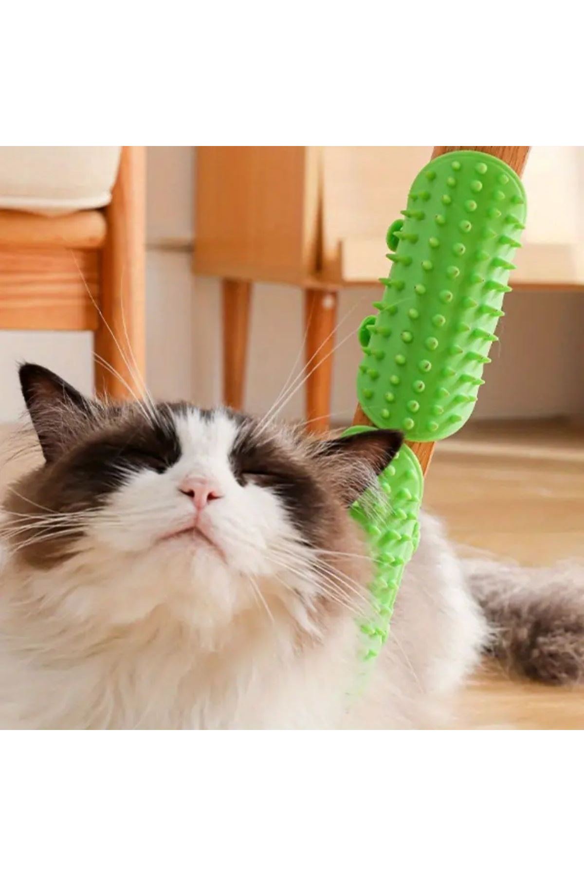 Tbl Dekor® Sandalye Ayağına Takılabilen Ayarlanabilir Silikon Kedi Kaşınma Tarağı