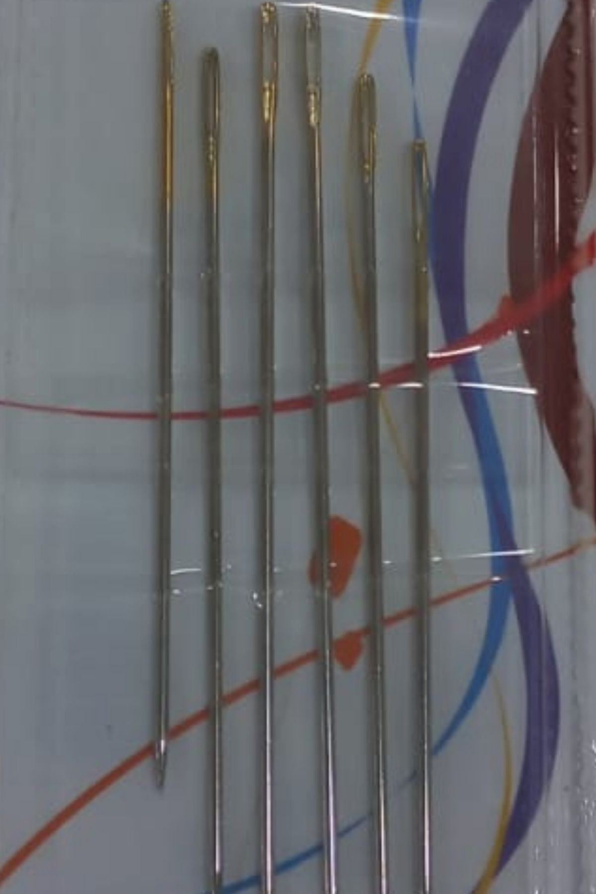 3 Boyutlu Nakış İğnesi 3/9 6'lı