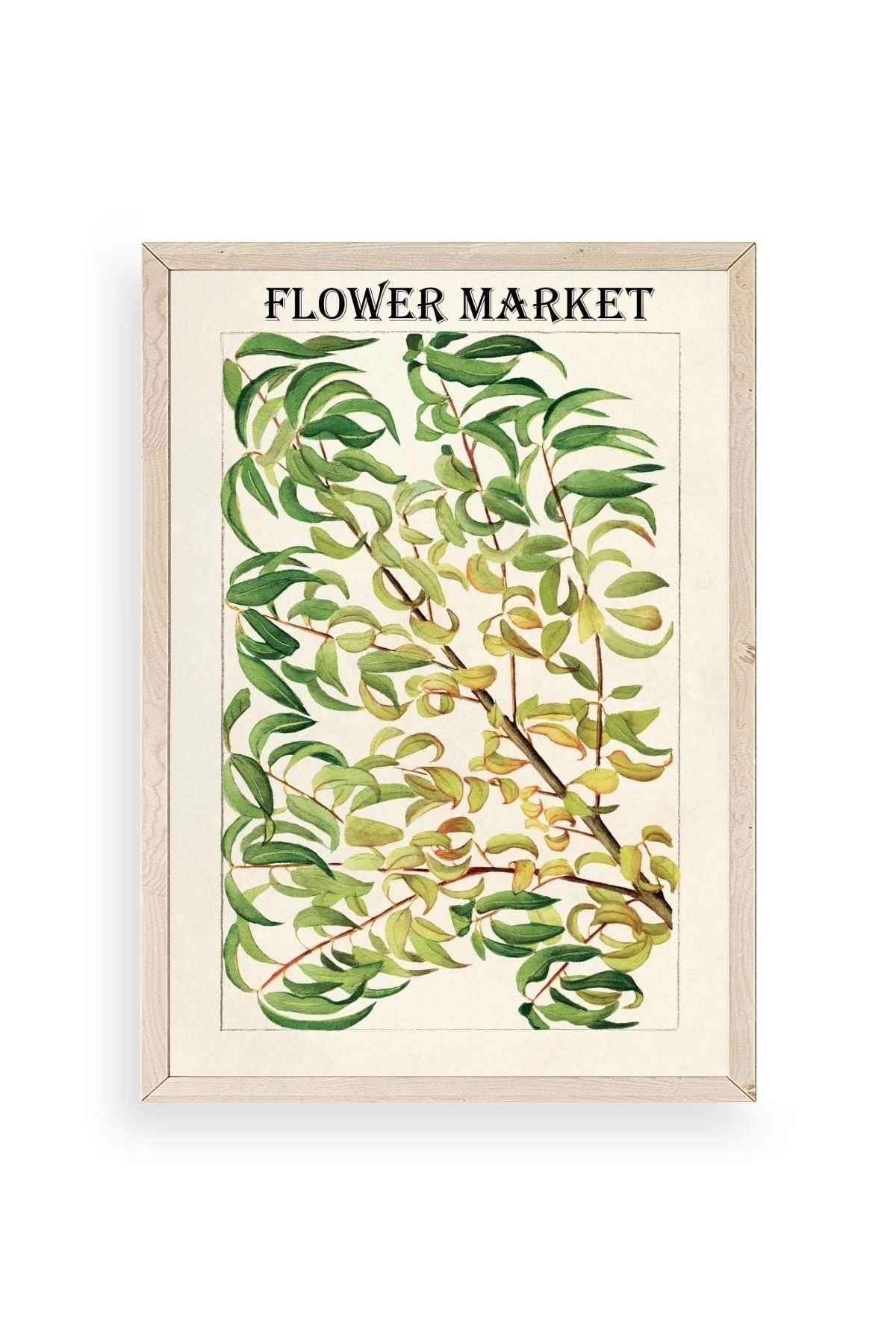 Grancica Breskve Ahşap Çerçeveli Tablo 17 x 23