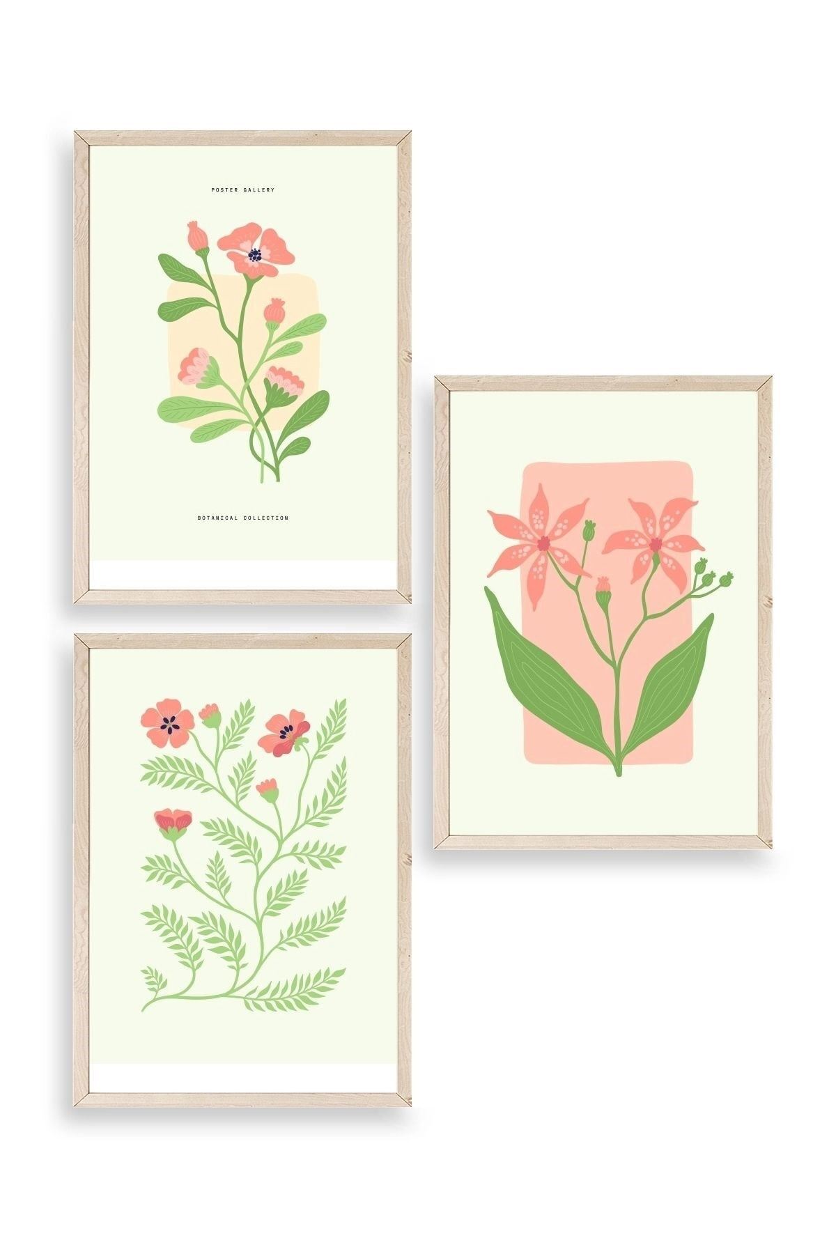 Botanik Üçlü Ahşap Çerçeveli Tablo 40 x 60