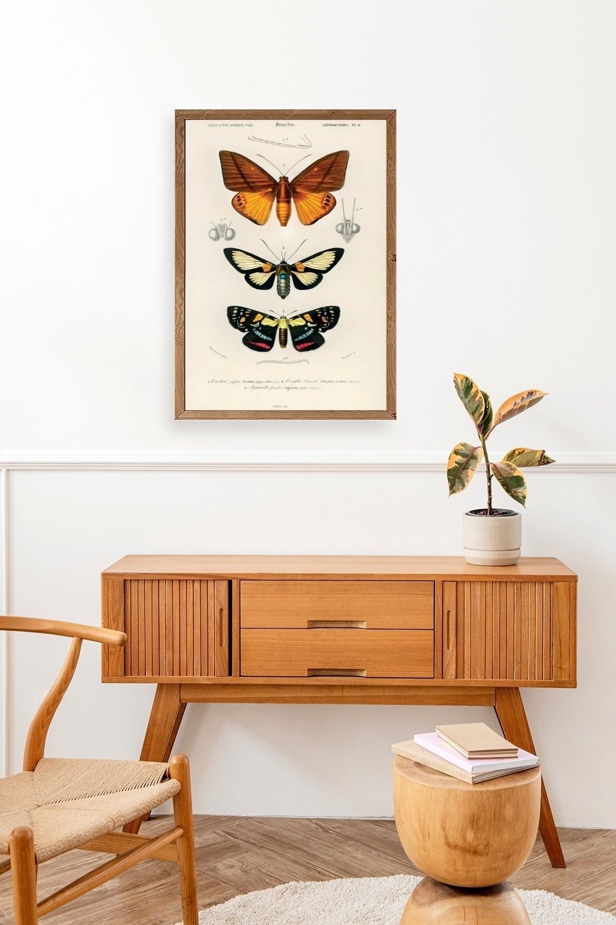 Kelebekler Ahşap Çerçeveli Tablo 17 x 23