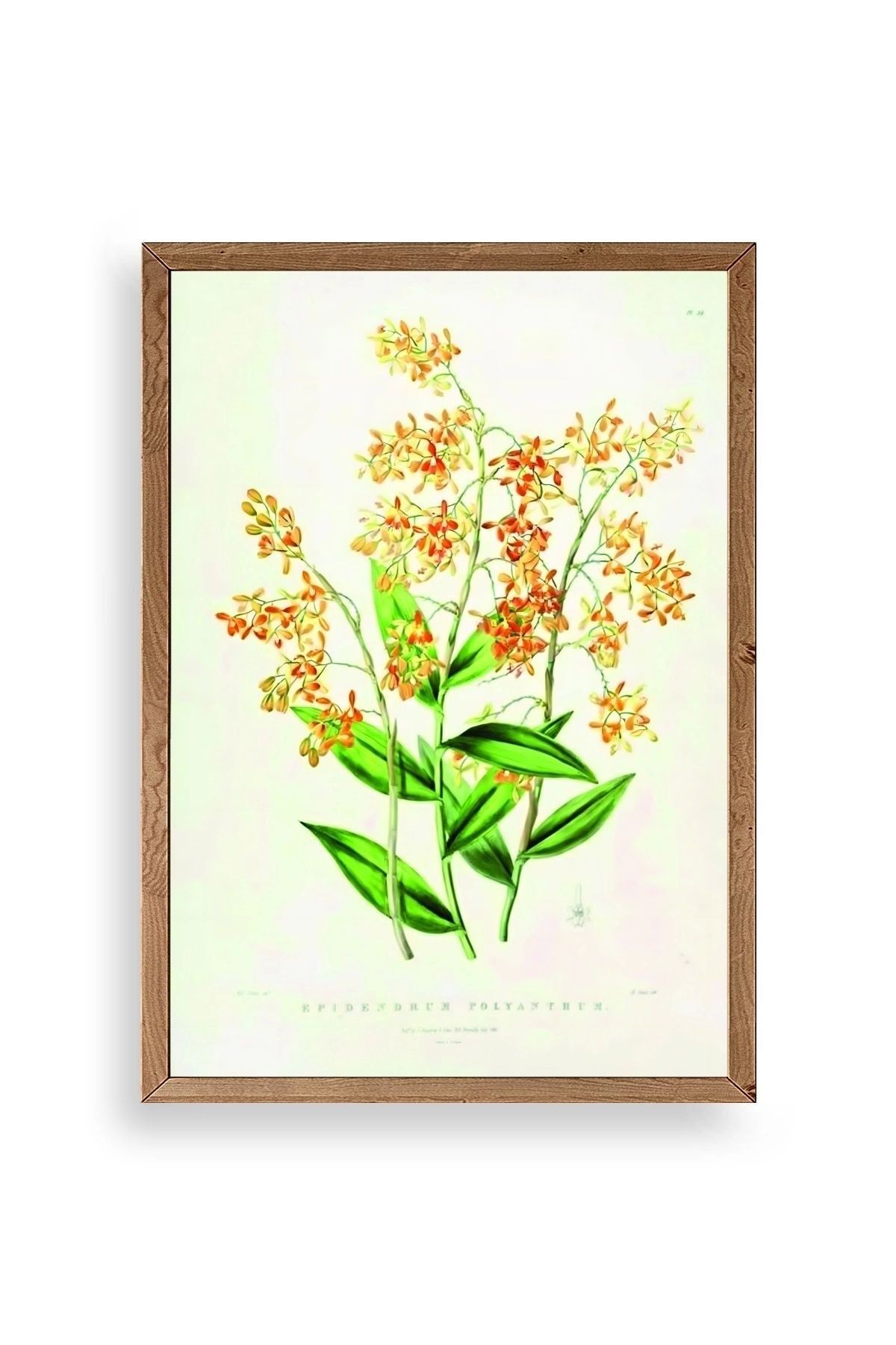 Çiçek Ahşap Çerçeveli Tablo 50 x 70