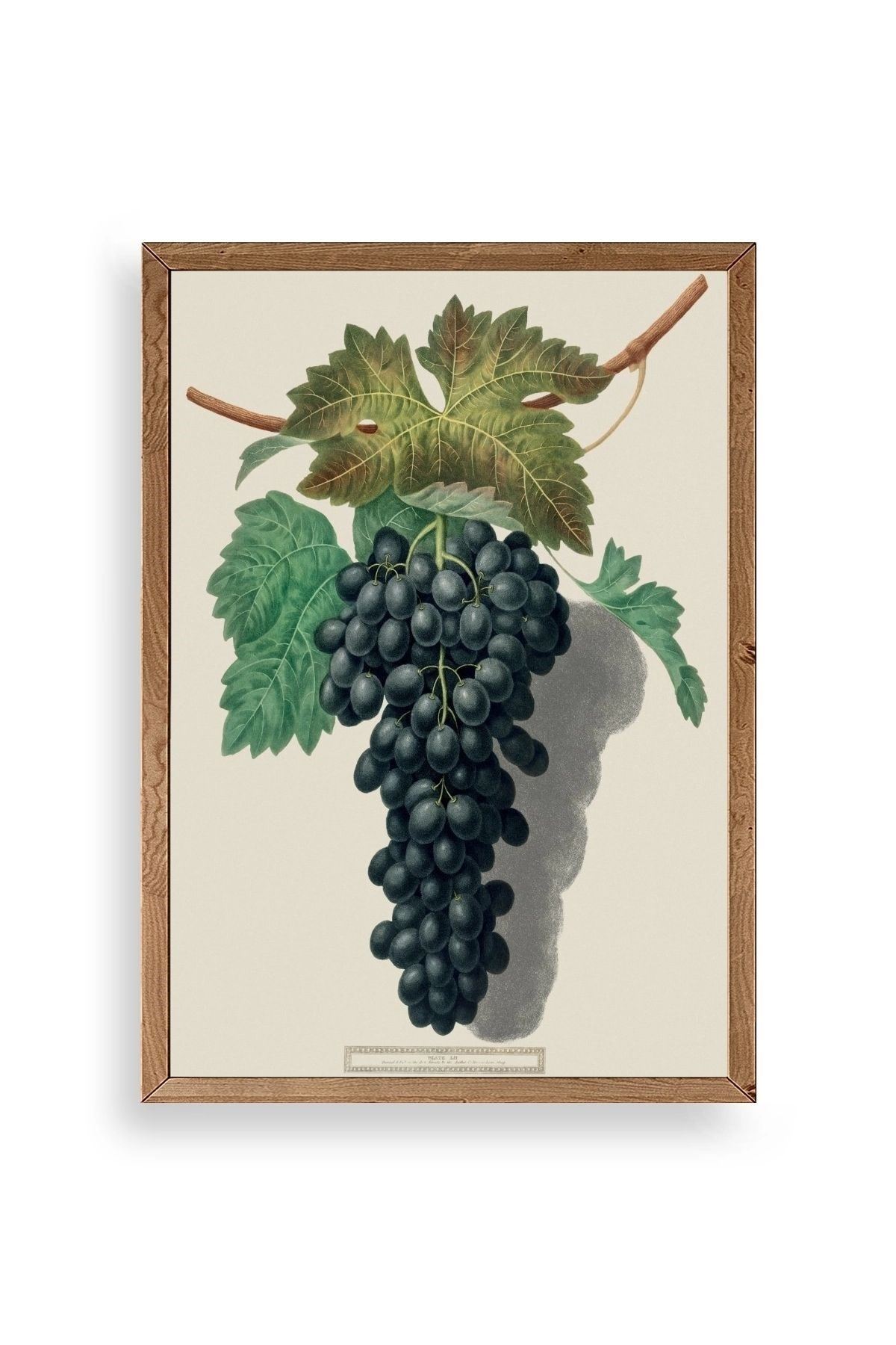 Üzüm Ahşap Çerçeveli Tablo 23 x 30