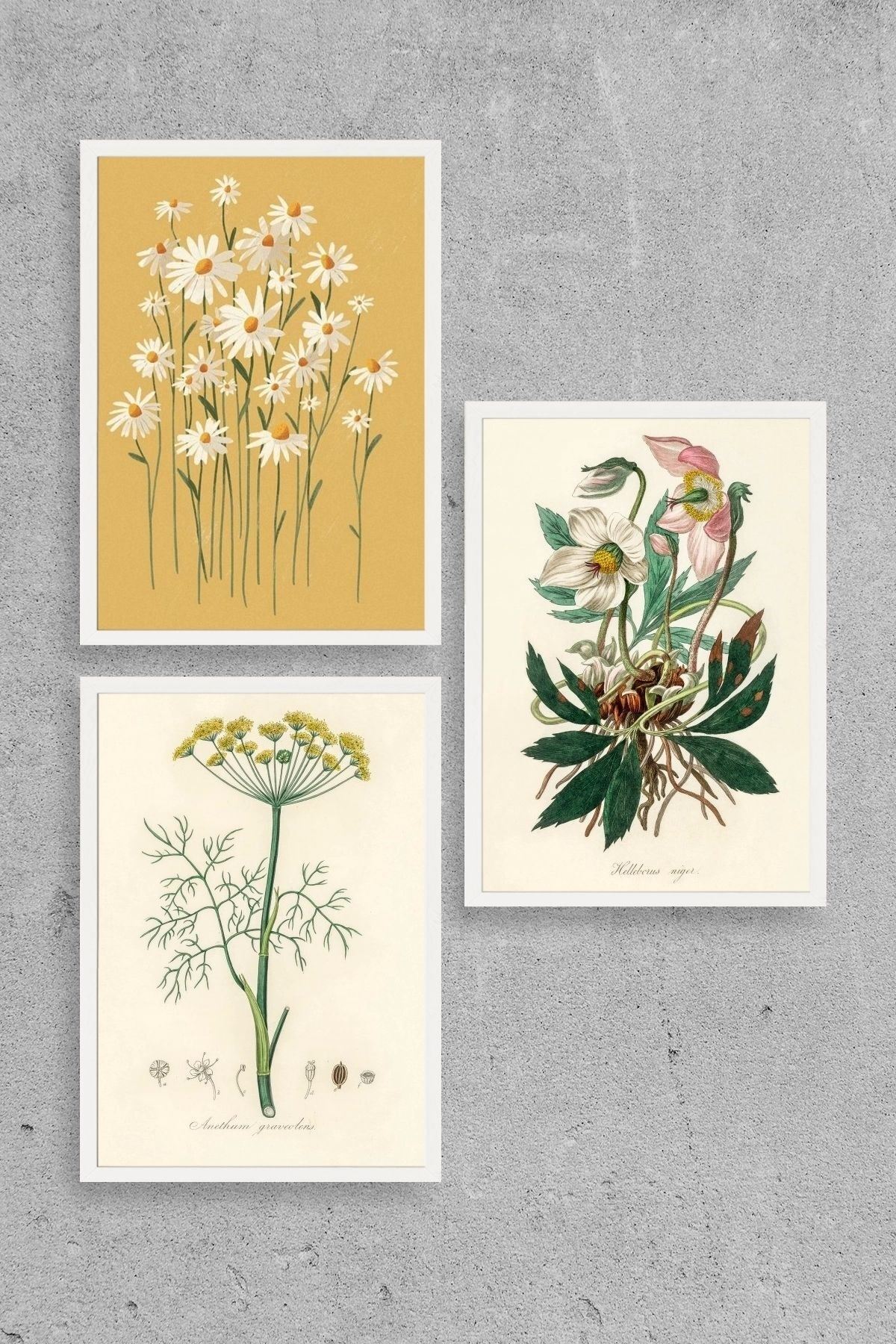 Çiçek Üçlü Ahşap Çerçeveli Tablo 50 x 70