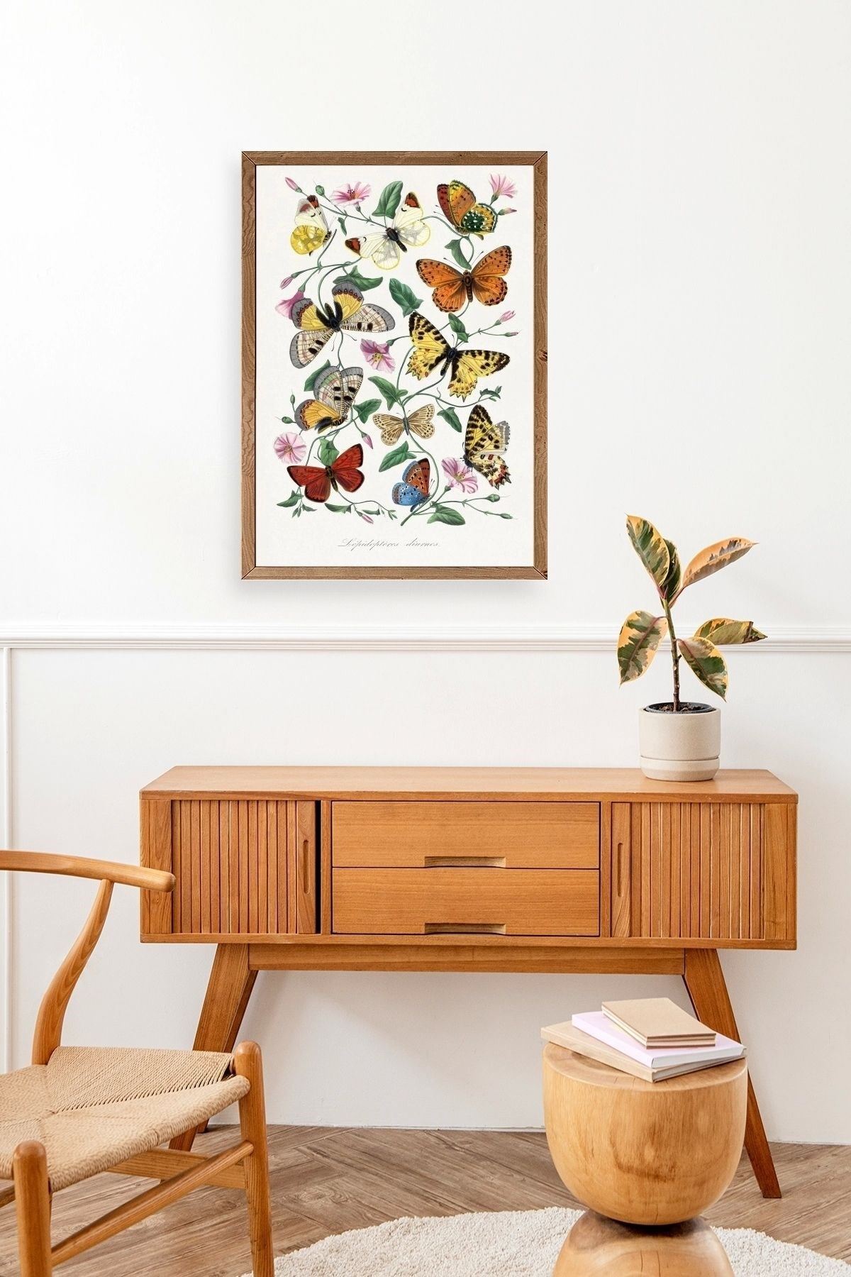 Lepidopteres Diurnes Ahşap Çerçeveli Tablo 30 x 42