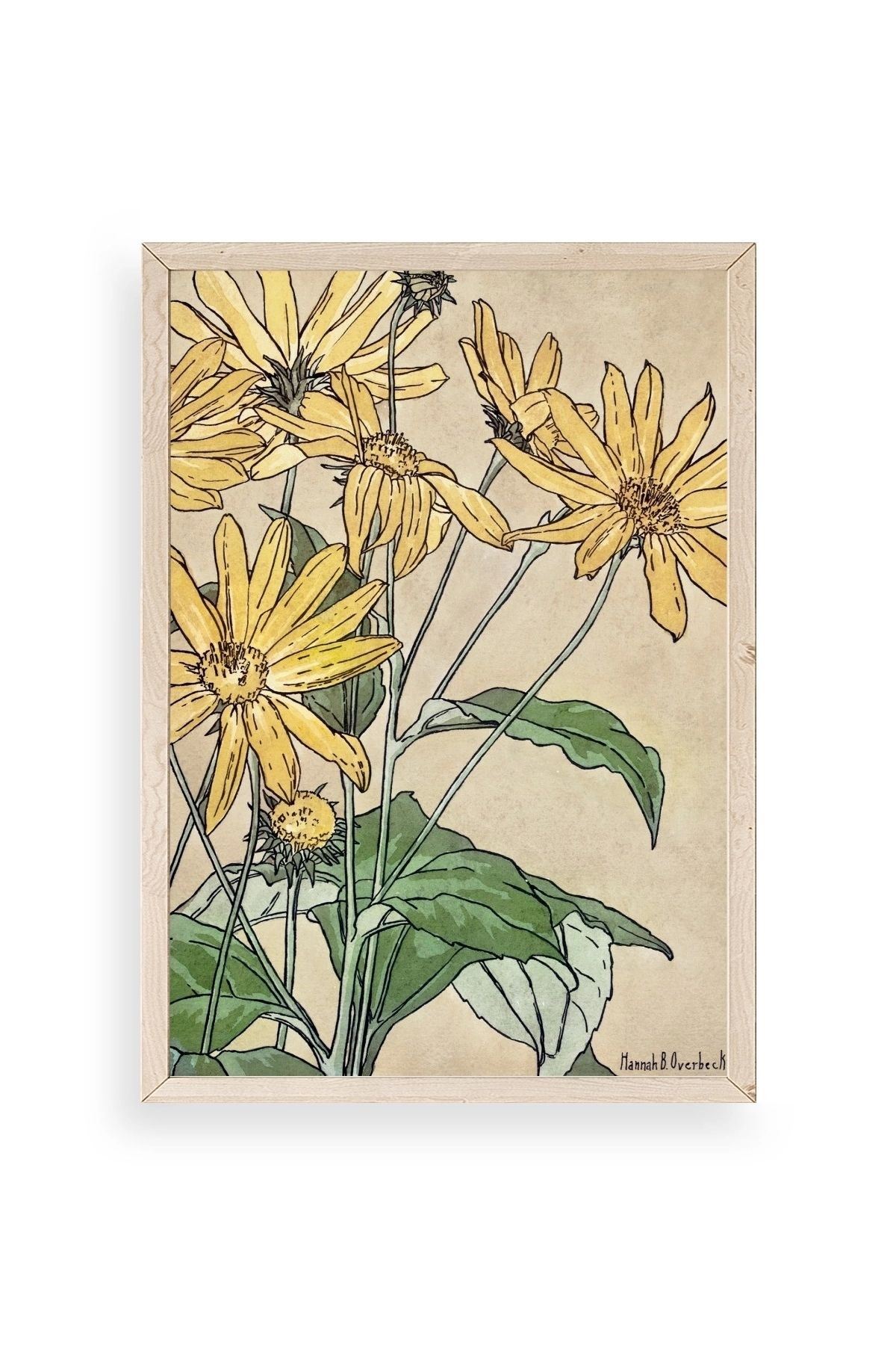 Hannah Borger Ahşap Çerçeveli Tablo 30 x 42