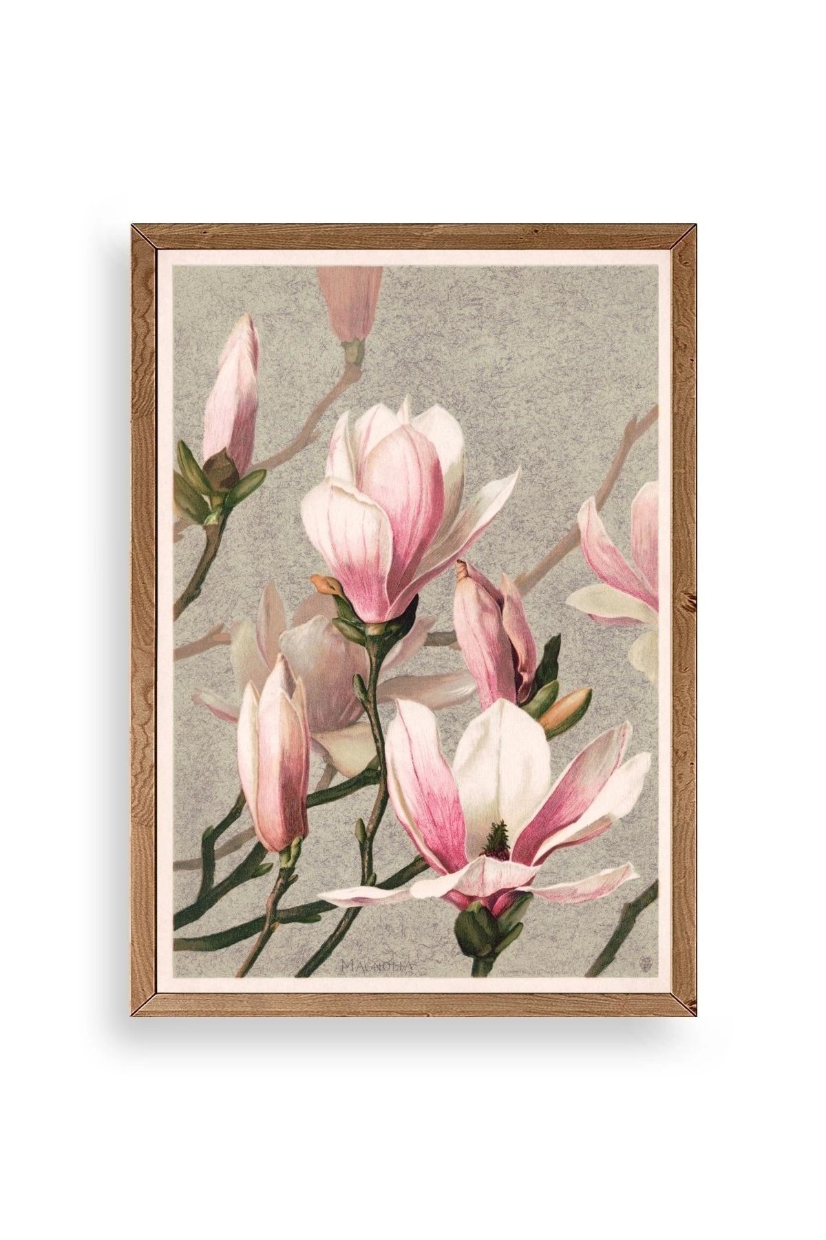 Magnolia Flowers Ahşap Çerçeveli Tablo 17 x 23