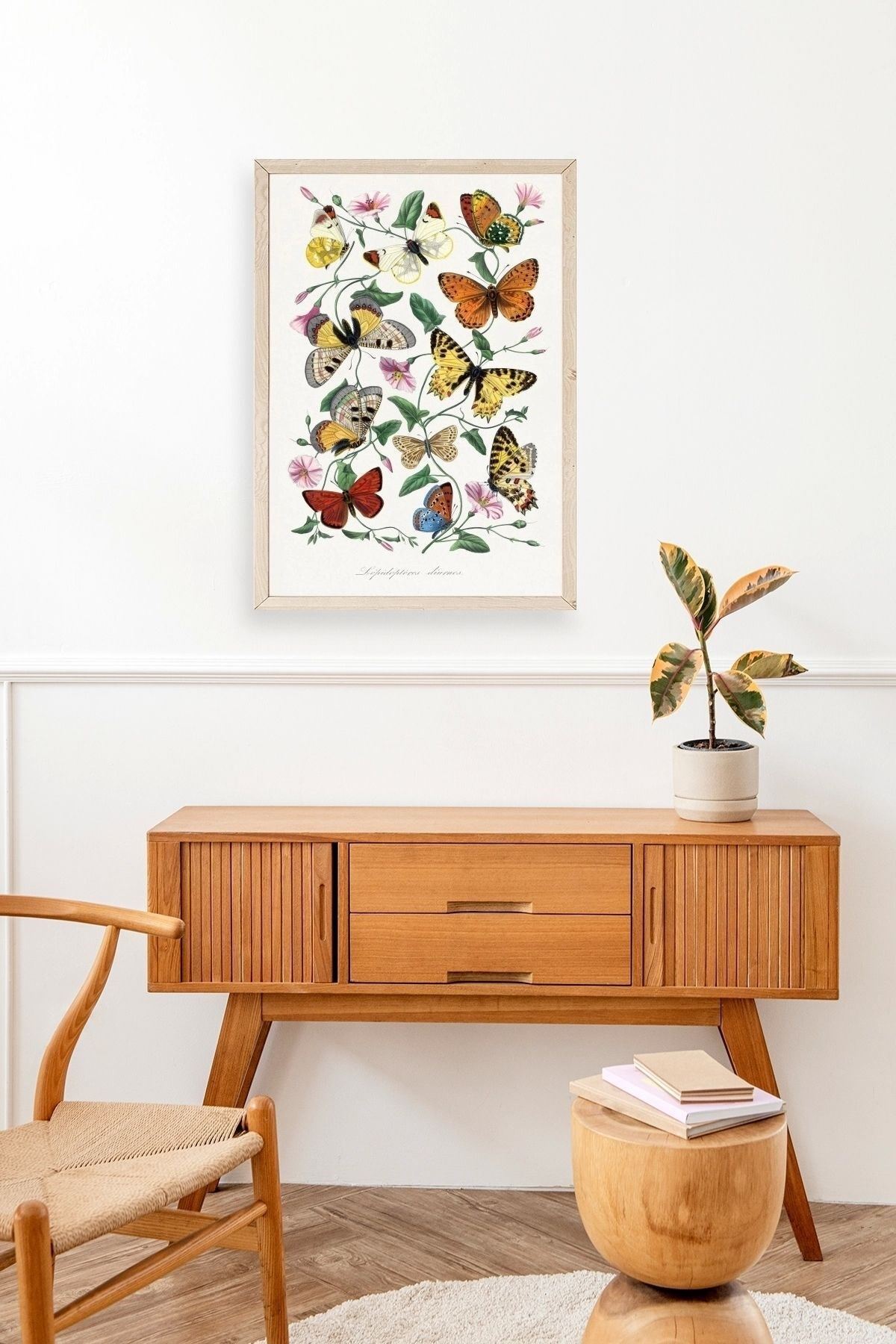 Lepidopteres Diurnes Ahşap Çerçeveli Tablo 17 x 23