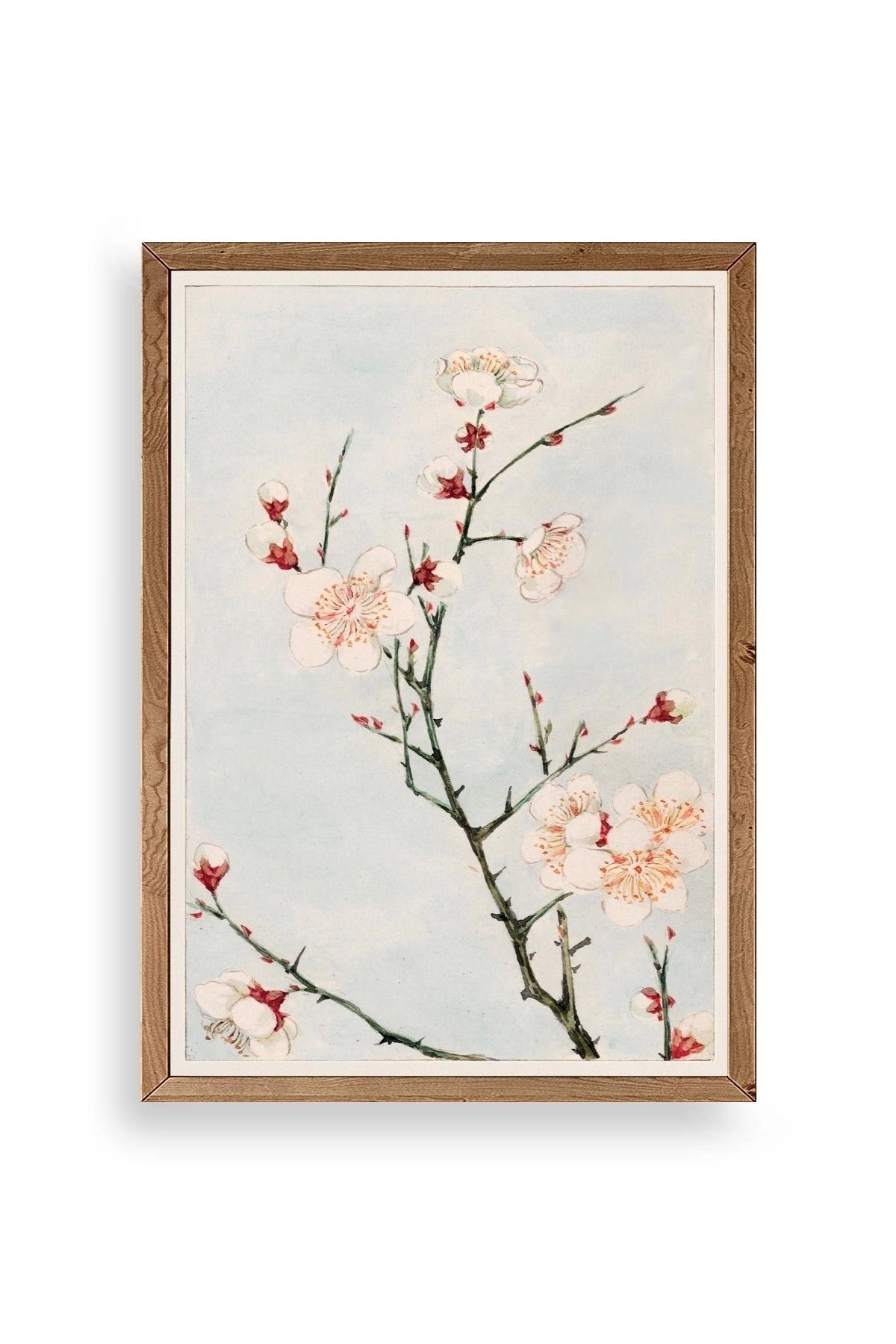 Cherry Blossom Ahşap Çerçeveli Tablo 50 x 70