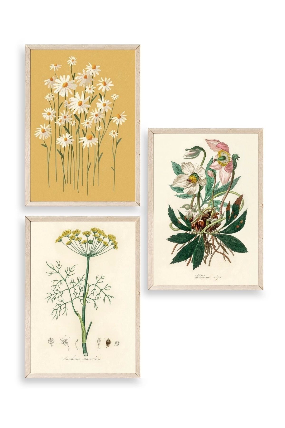 Çiçek Üçlü Ahşap Çerçeveli Tablo 40 x 60