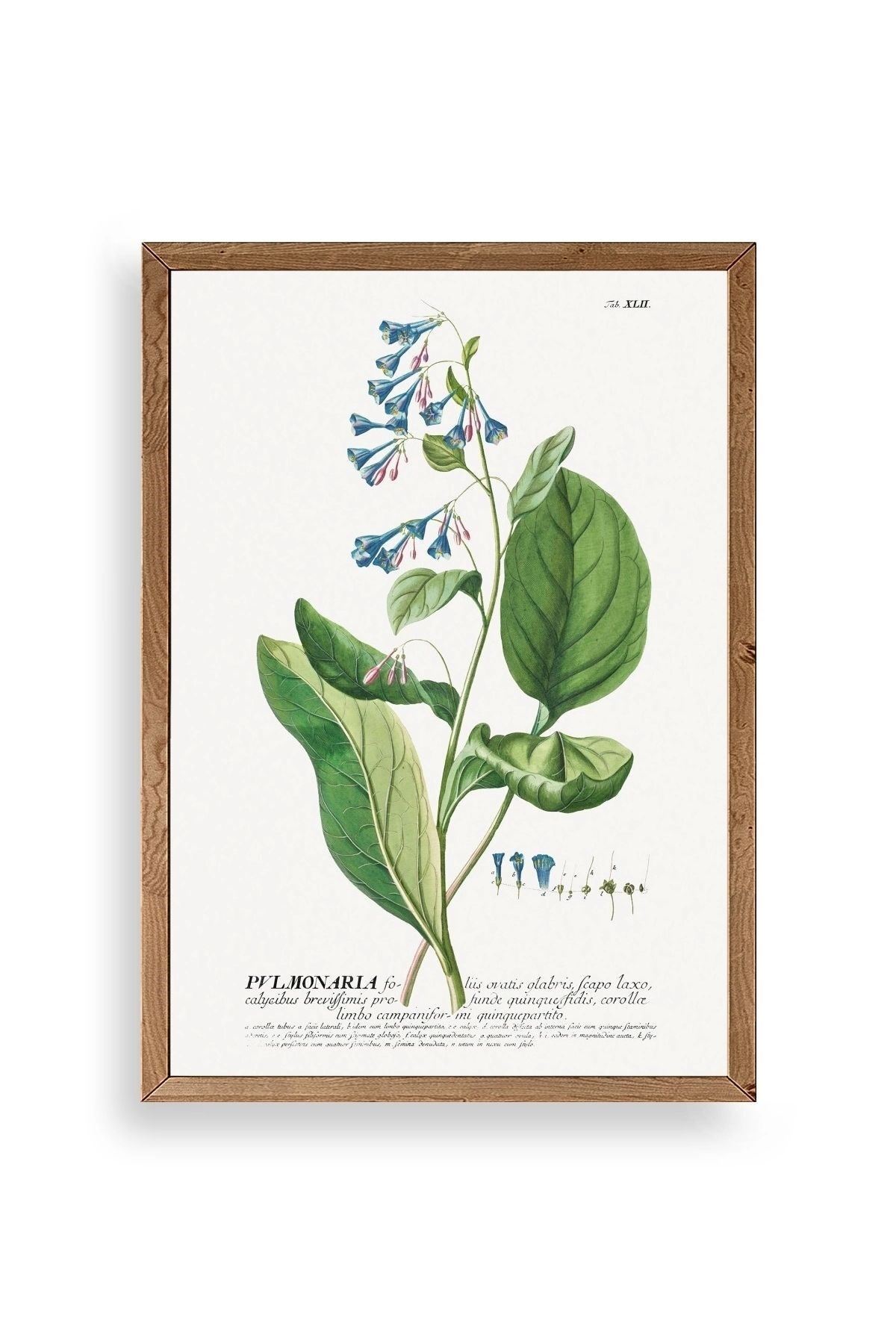 Pvlmonarla Ahşap Çerçeveli Tablo 30 x 42