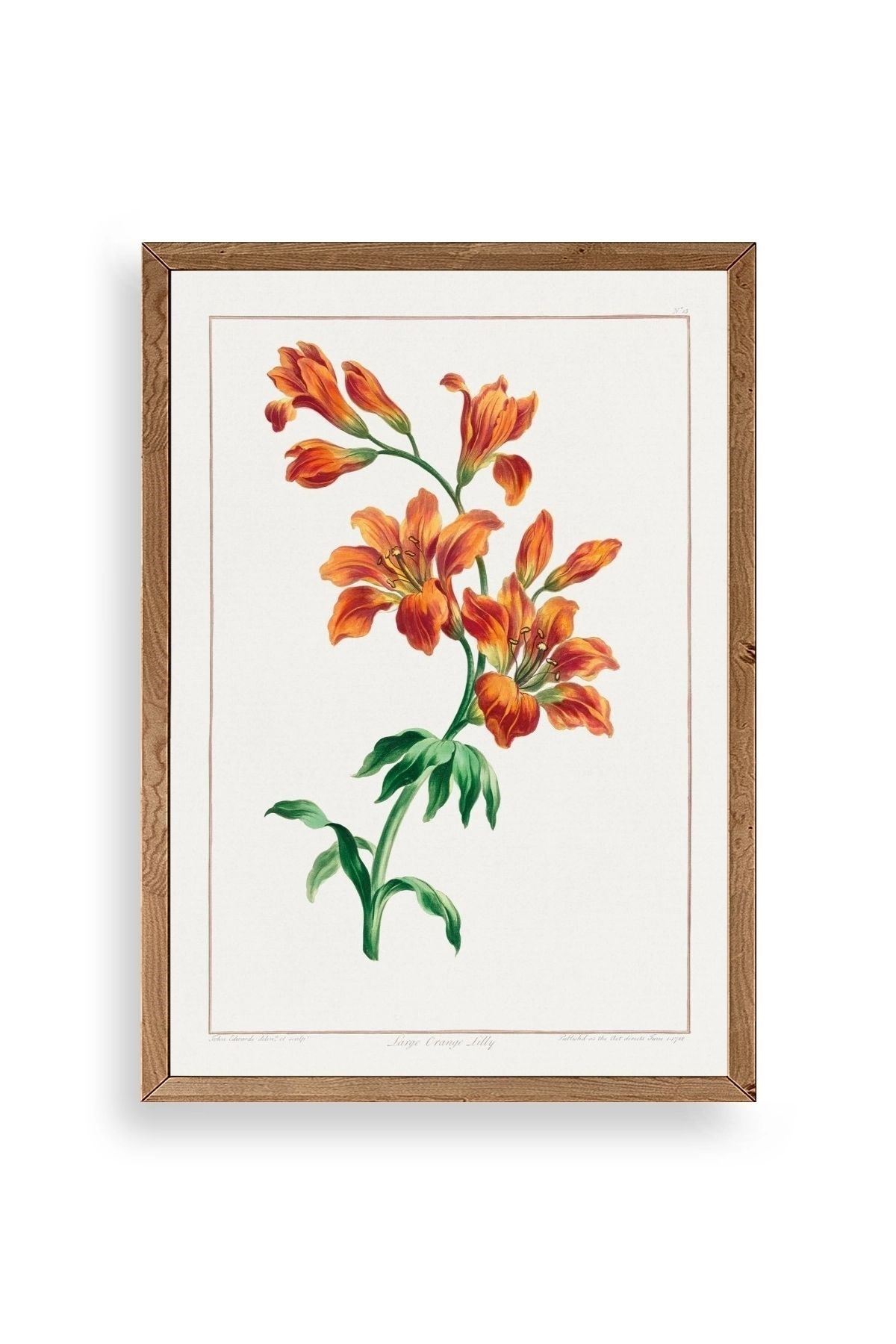 Turuncu Zambak Ahşap Çerçeveli Tablo 17 x 23