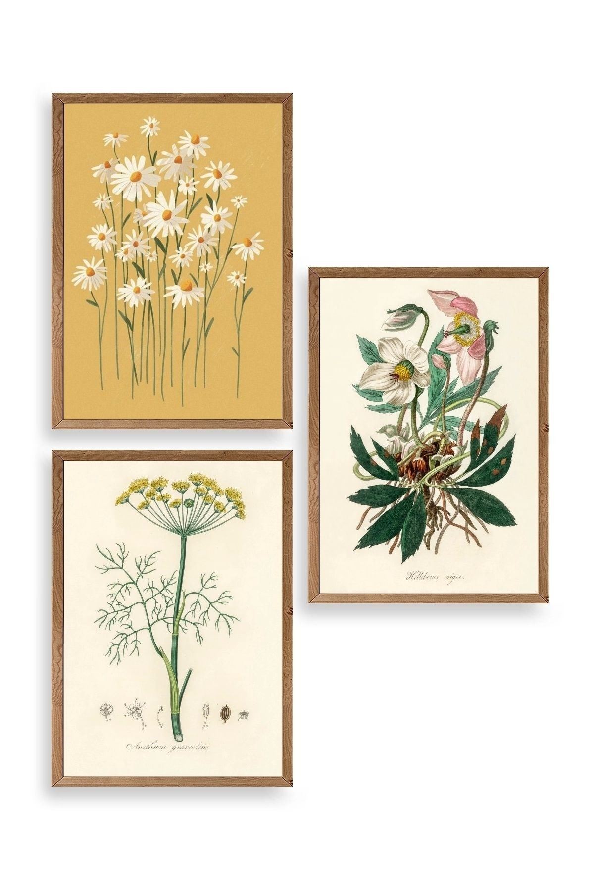 Çiçek Üçlü Ahşap Çerçeveli Tablo 23 x 30