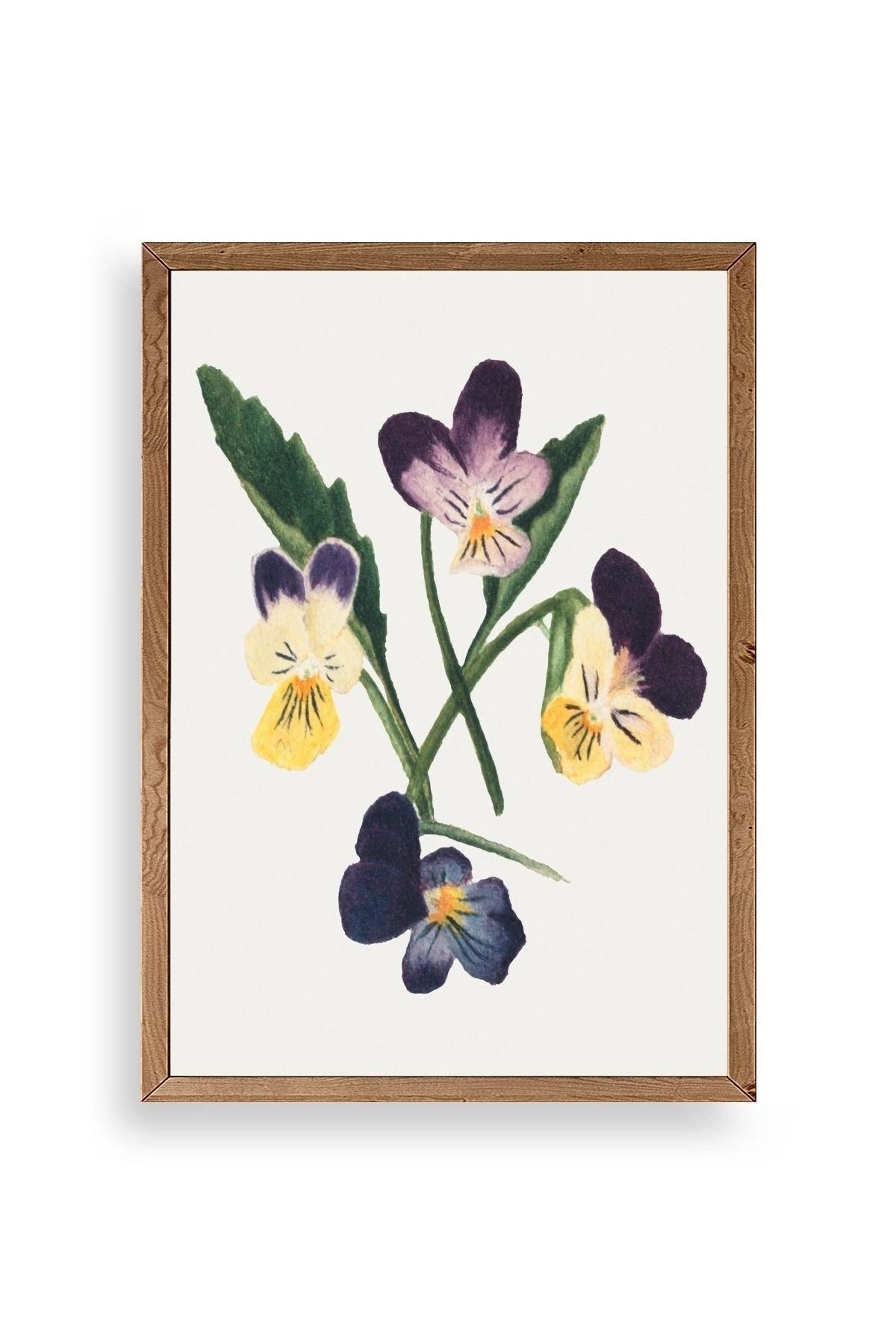 Çiçekler Ahşap Çerçeveli Tablo 17 x 23