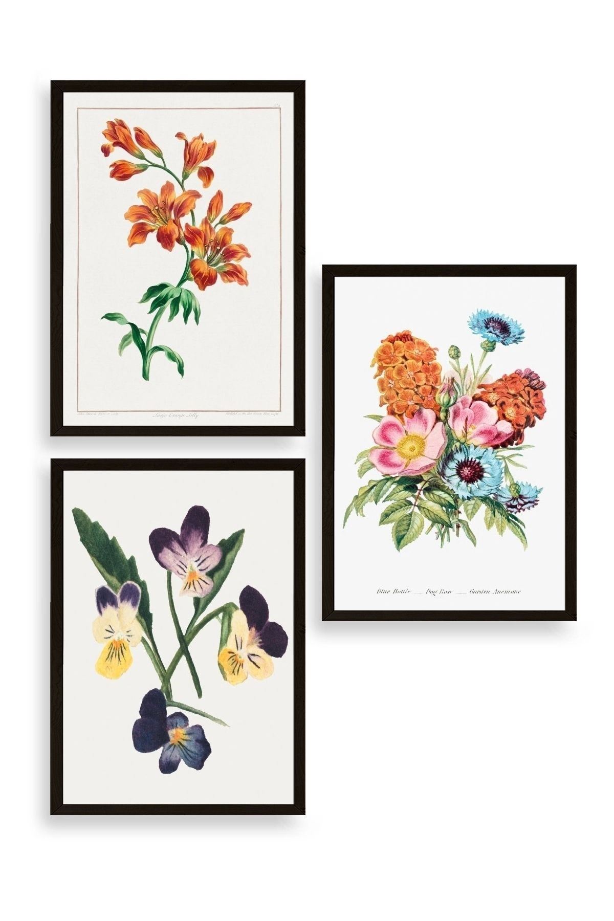 Çiçek Üçlü Ahşap Çerçeveli Tablo 50 x 70