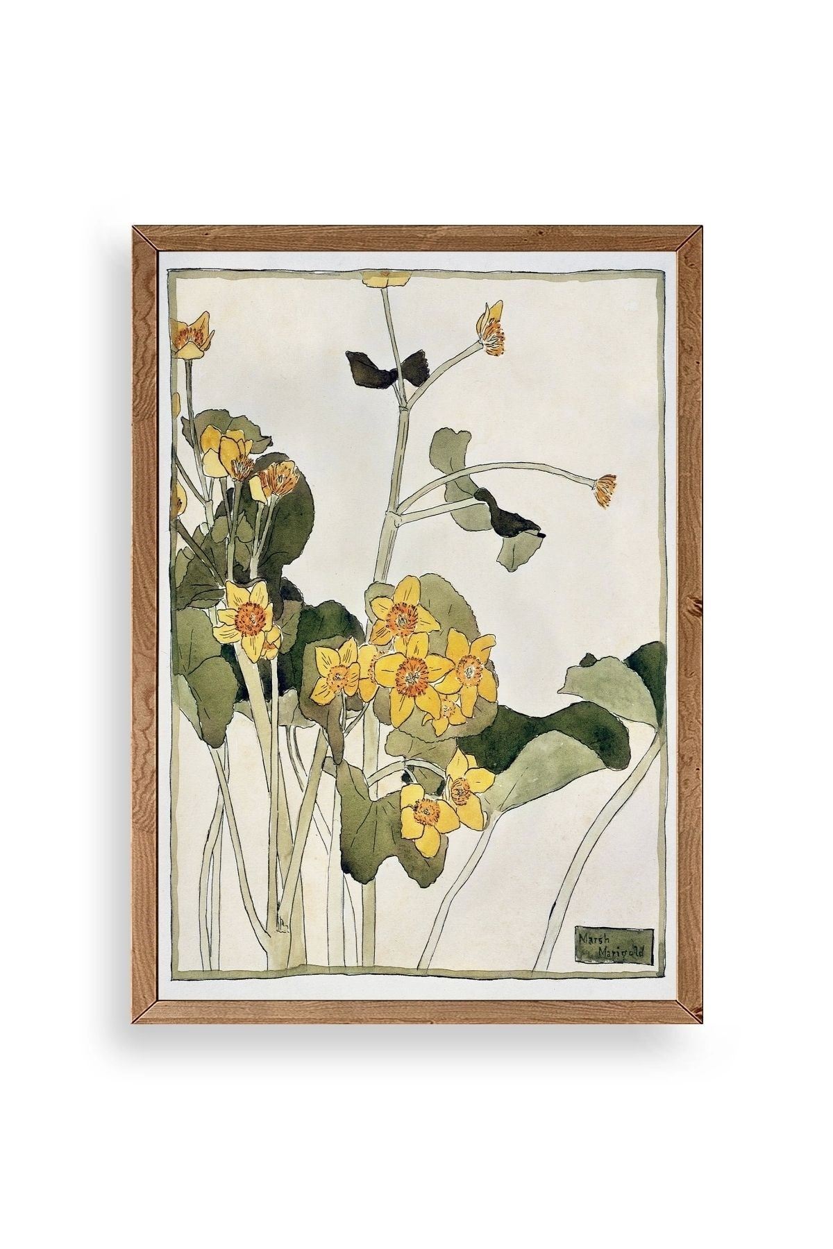 Marsh Marigold Ahşap Çerçeveli Tablo 17 x 23