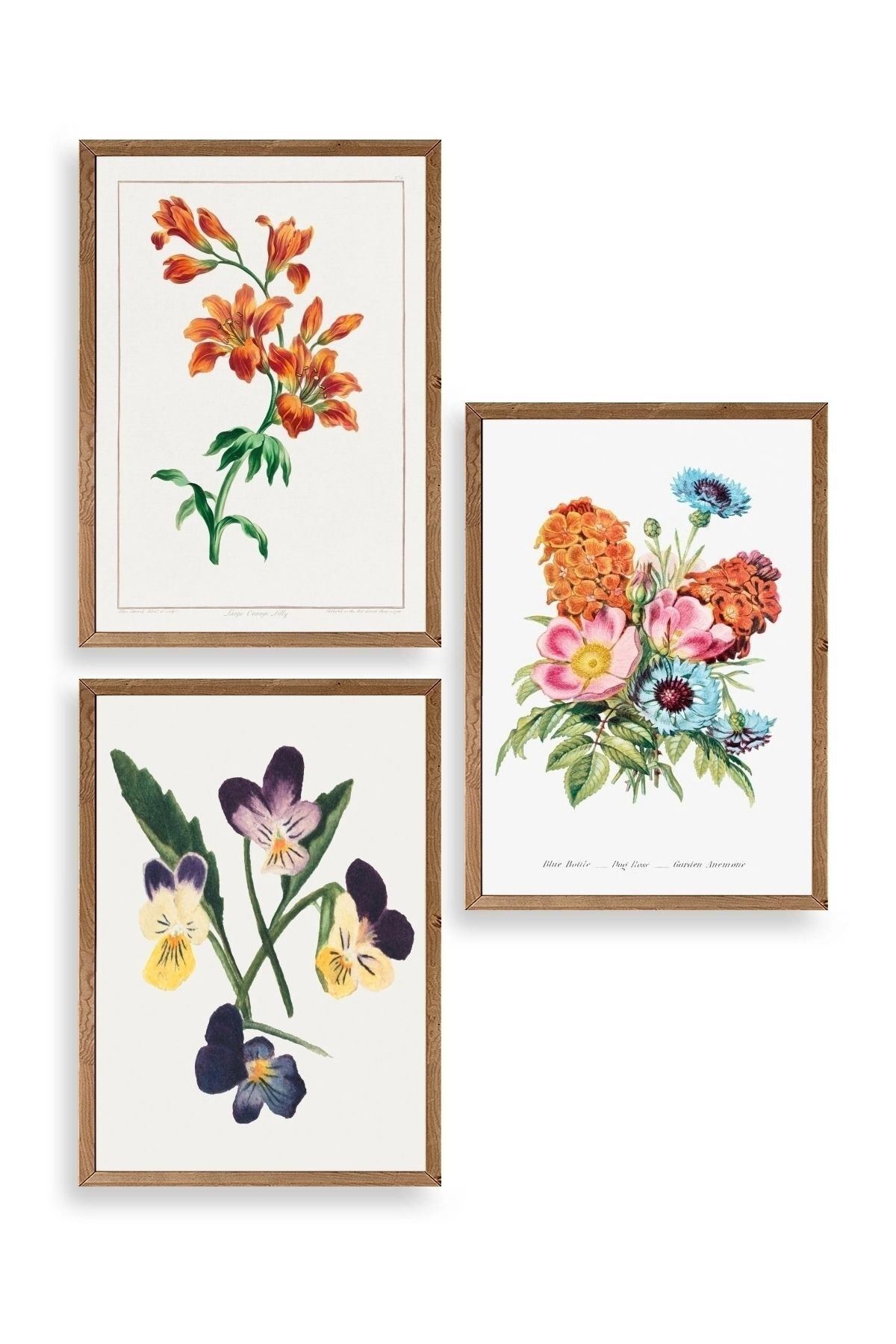 Çiçek Üçlü Ahşap Çerçeveli Tablo 23 x 30