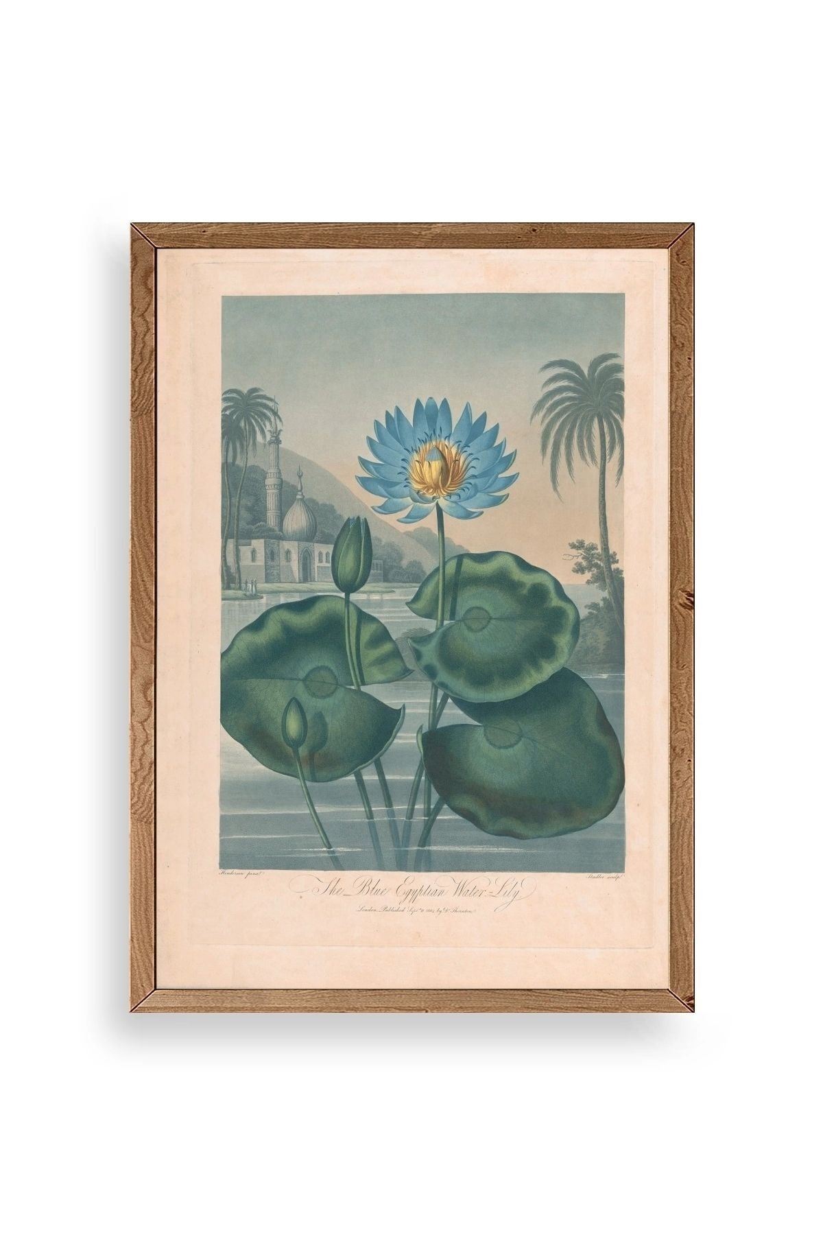 Joseph Constantine Ahşap Çerçeveli Tablo 50 x 70