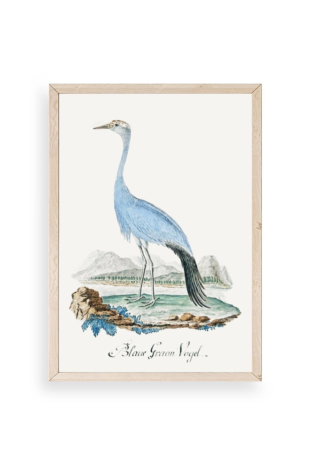 Blaue G. Voyel Ahşap Çerçeveli Tablo 30 x 42