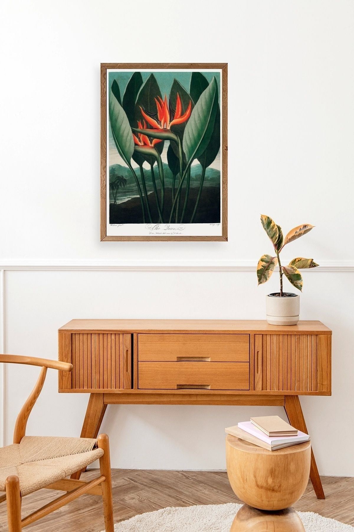 The Queen Plant Ahşap Çerçeveli Tablo 23 x 30