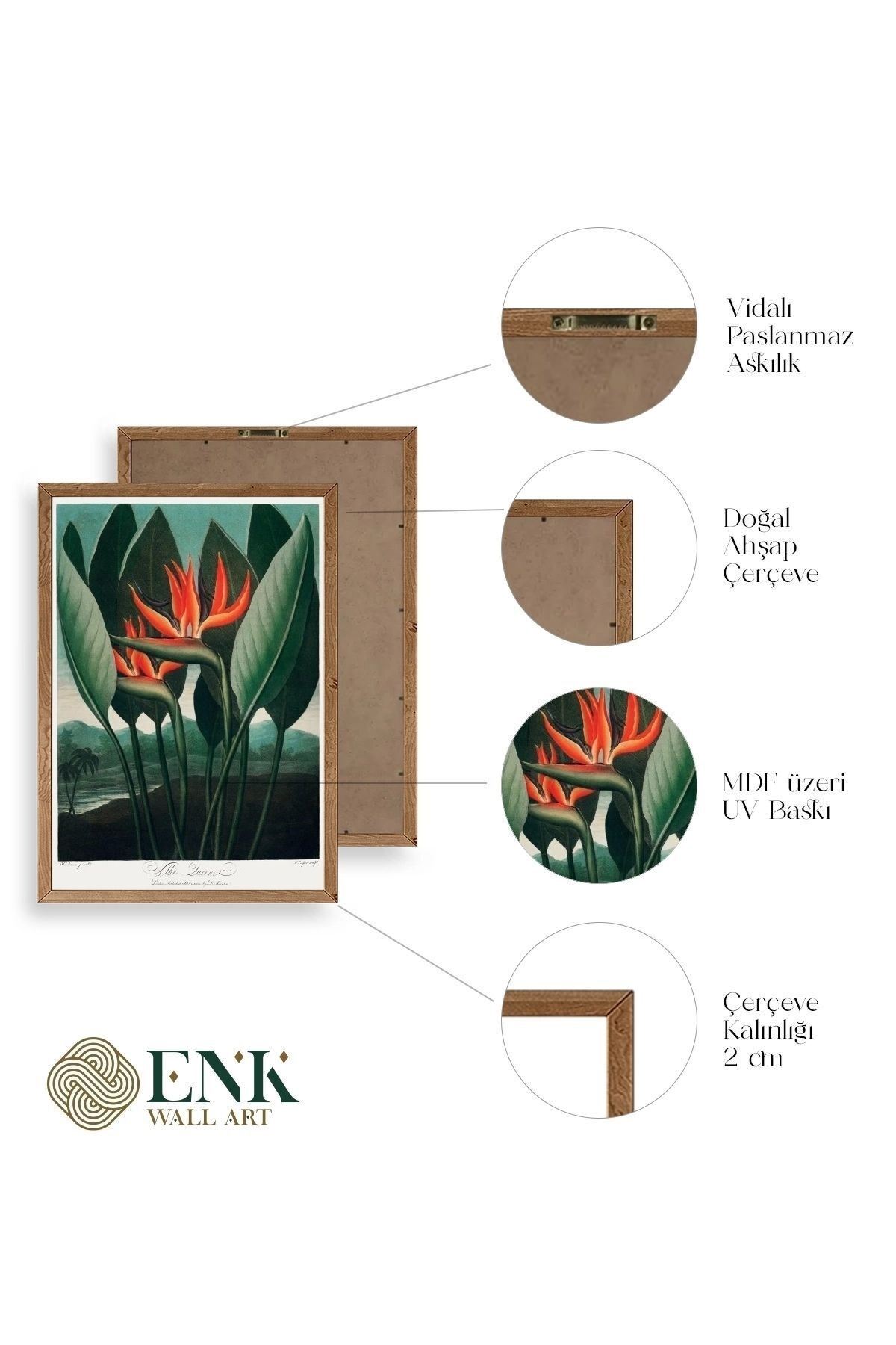 The Queen Plant Ahşap Çerçeveli Tablo 30 x 42