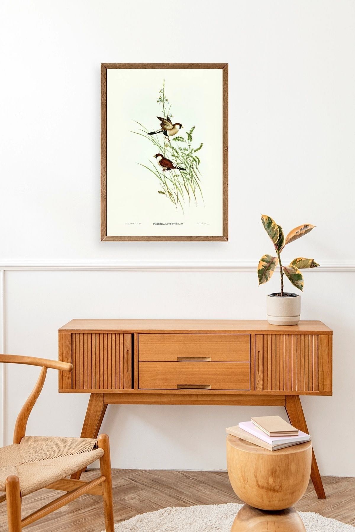 Kuşlar Ahşap Çerçeveli Tablo 17 x 23