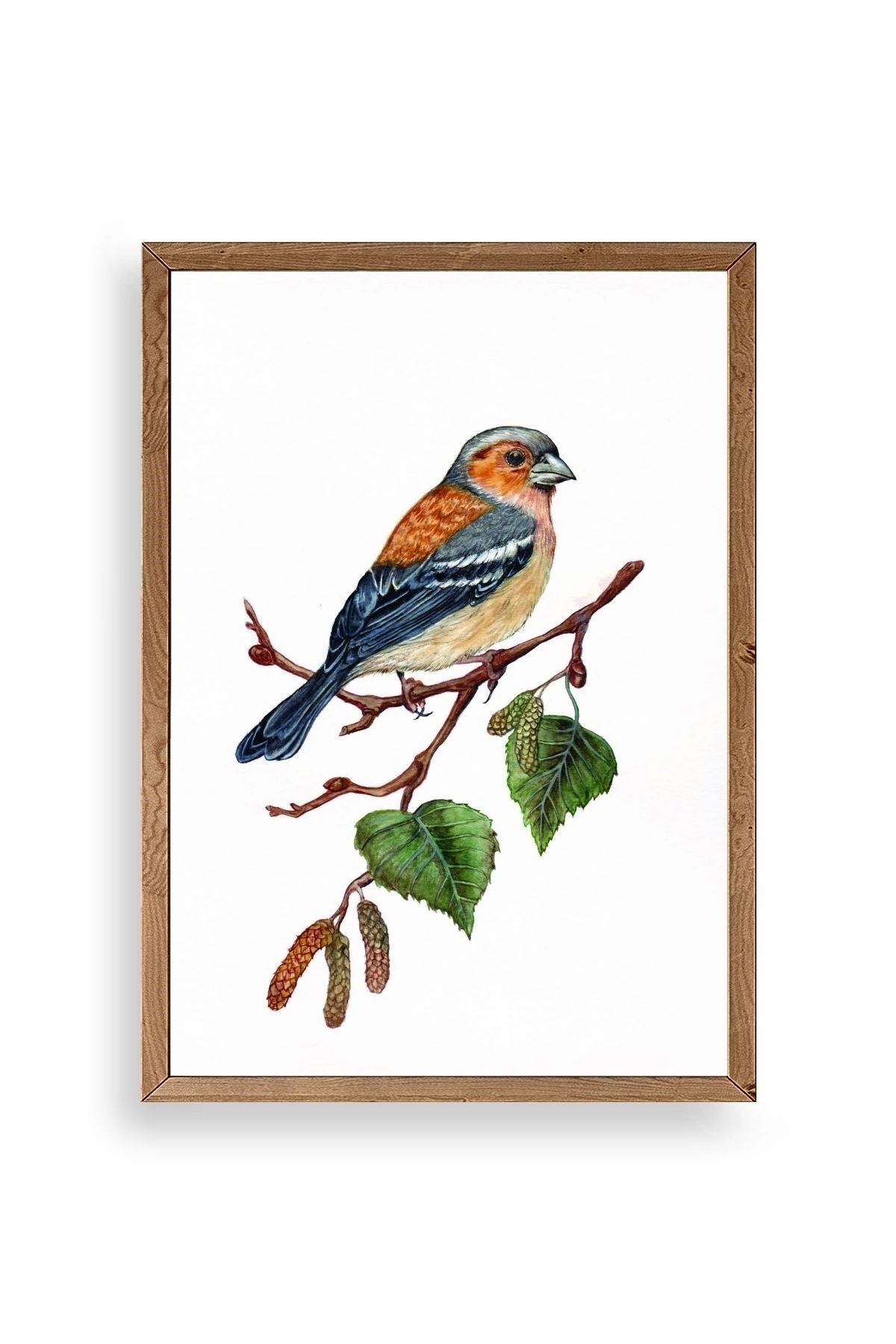 Kuş Ahşap Çerçeveli Tablo 30 x 42