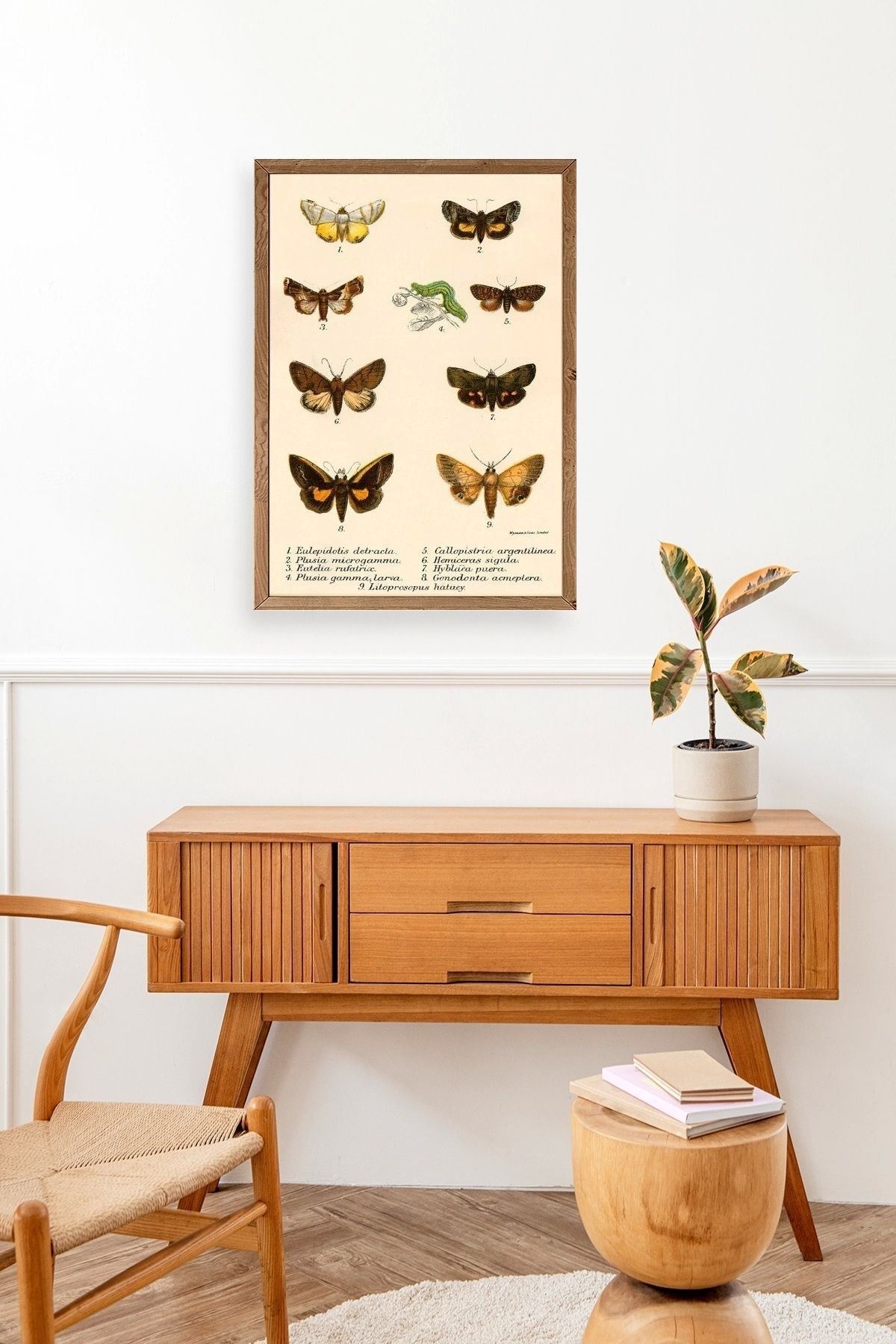 Kelebekler Ahşap Çerçeveli Tablo 30 x 42