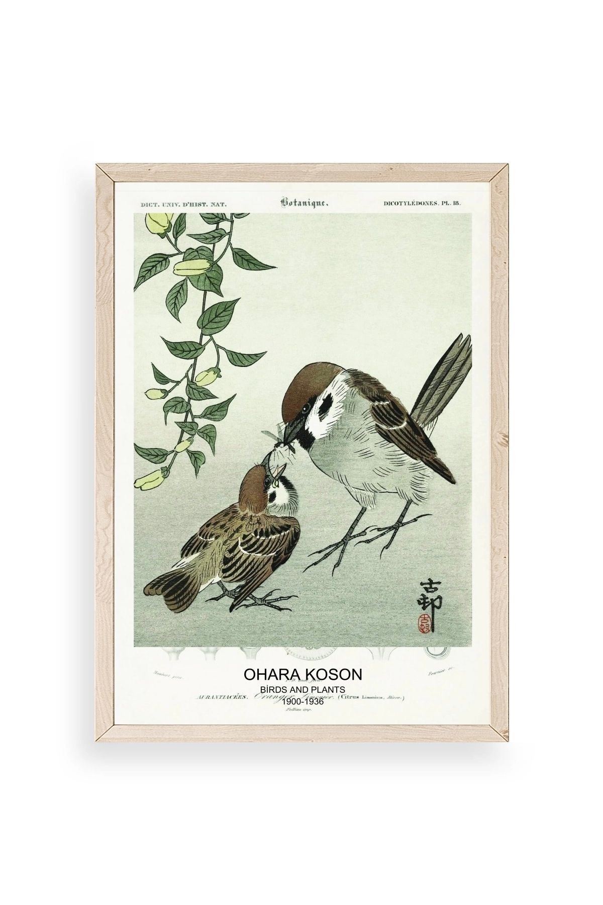 Kuşlar Ahşap Çerçeveli Tablo 17 x 23