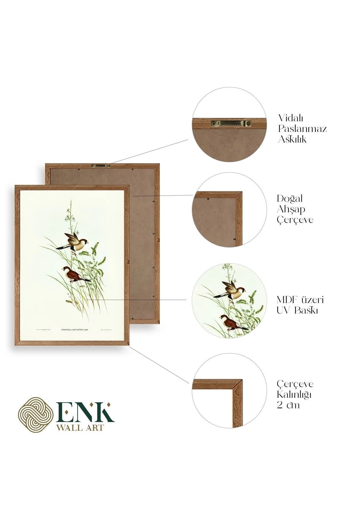 Kuşlar Ahşap Çerçeveli Tablo 17 x 23