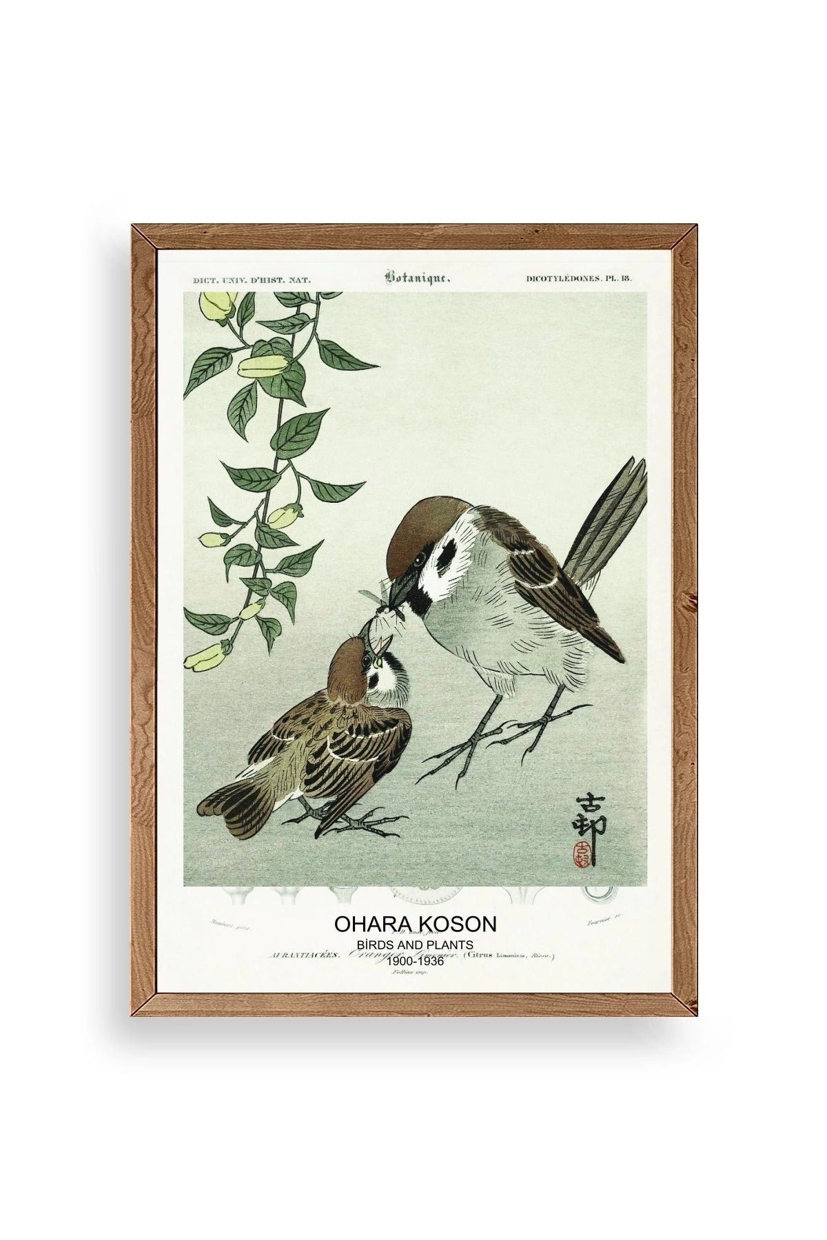 Kuşlar Ahşap Çerçeveli Tablo 17 x 23