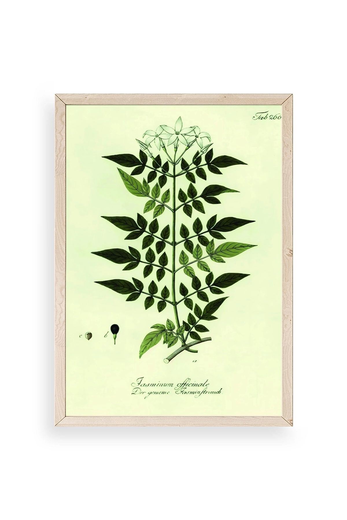 Yapraklar Ahşap Çerçeveli Tablo 30 x 42