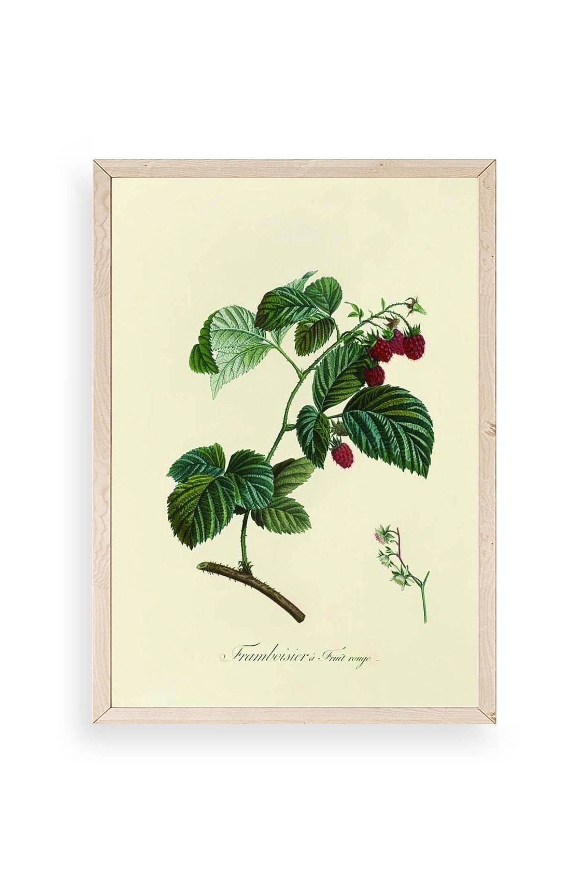 Yaprak Ahşap Çerçeveli Tablo 30 x 42