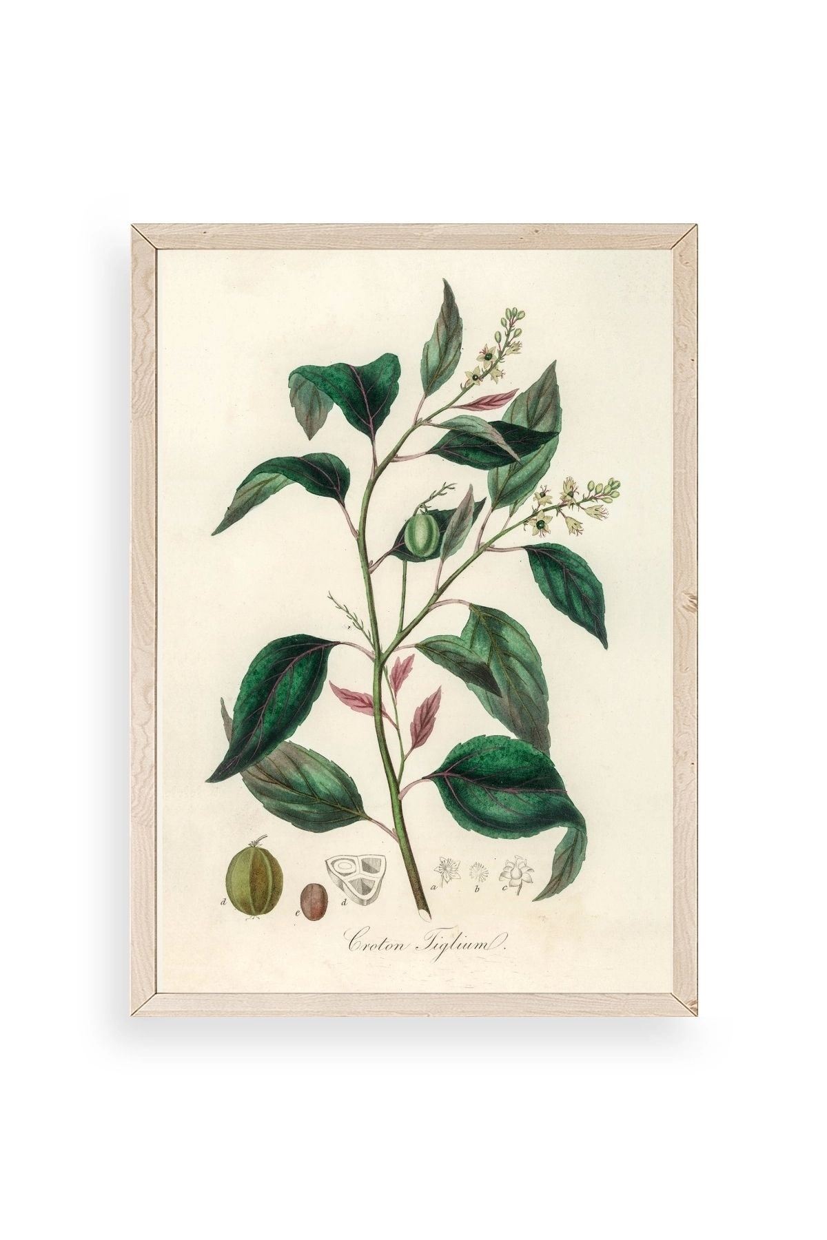 Yaprak Ahşap Çerçeveli Tablo 23 x 30