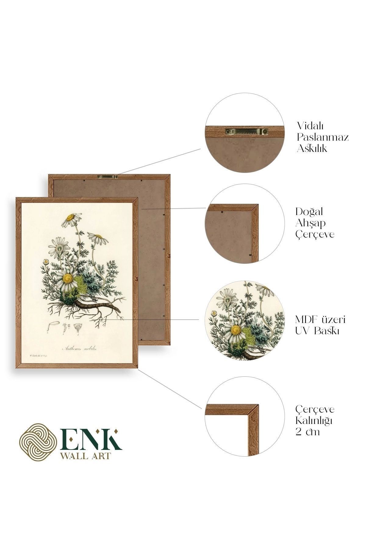 Papatya Ahşap Çerçeveli Tablo 17 x 23