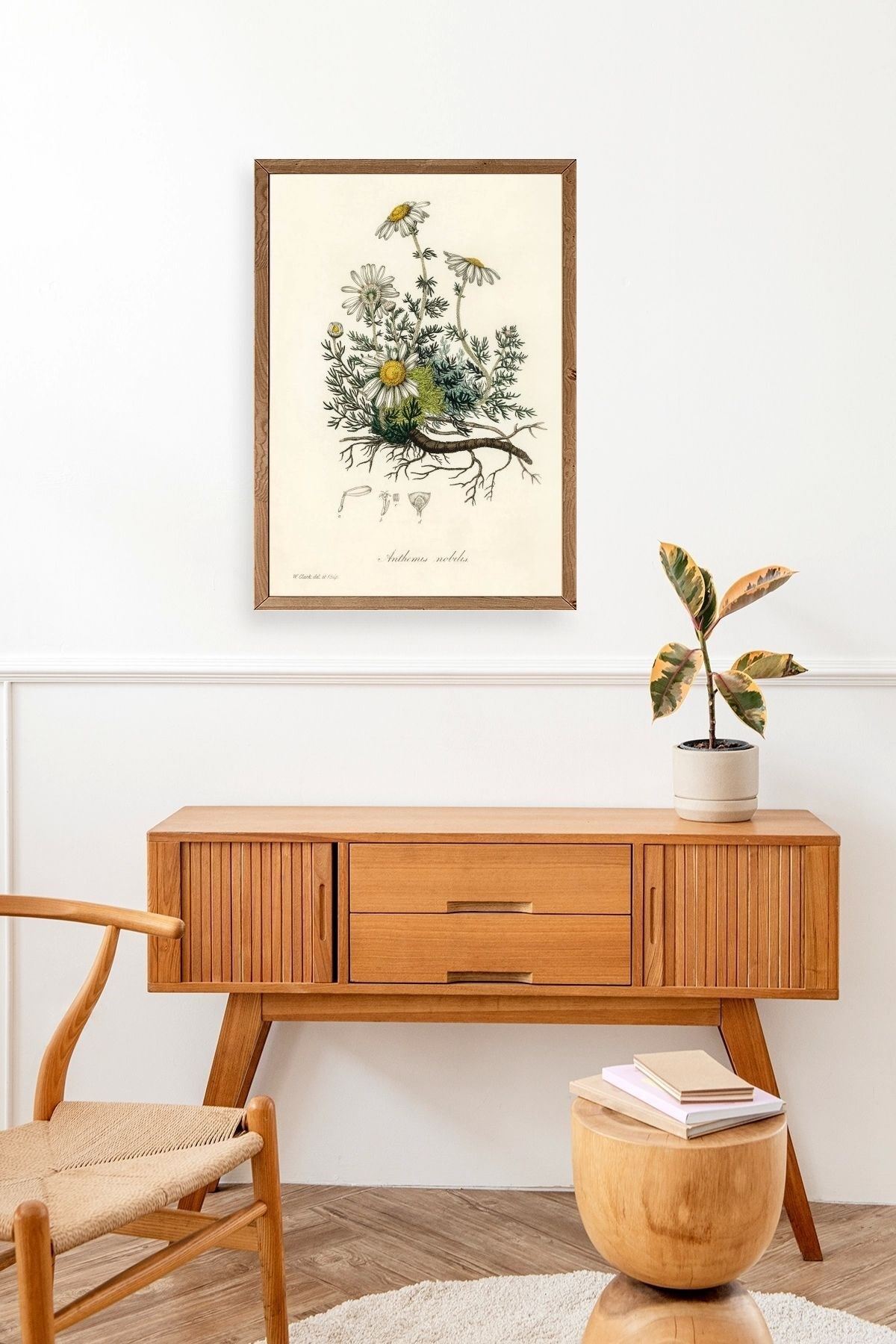 Papatya Ahşap Çerçeveli Tablo 30 x 42