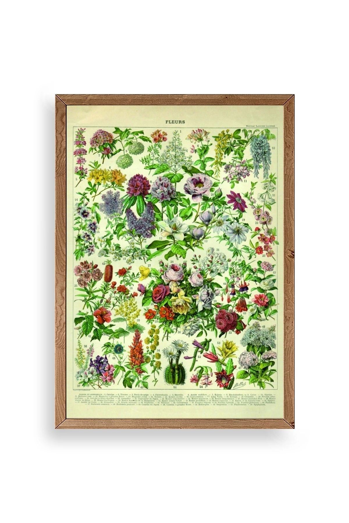 Çiçekler Ahşap Çerçeveli Tablo 23 x 30