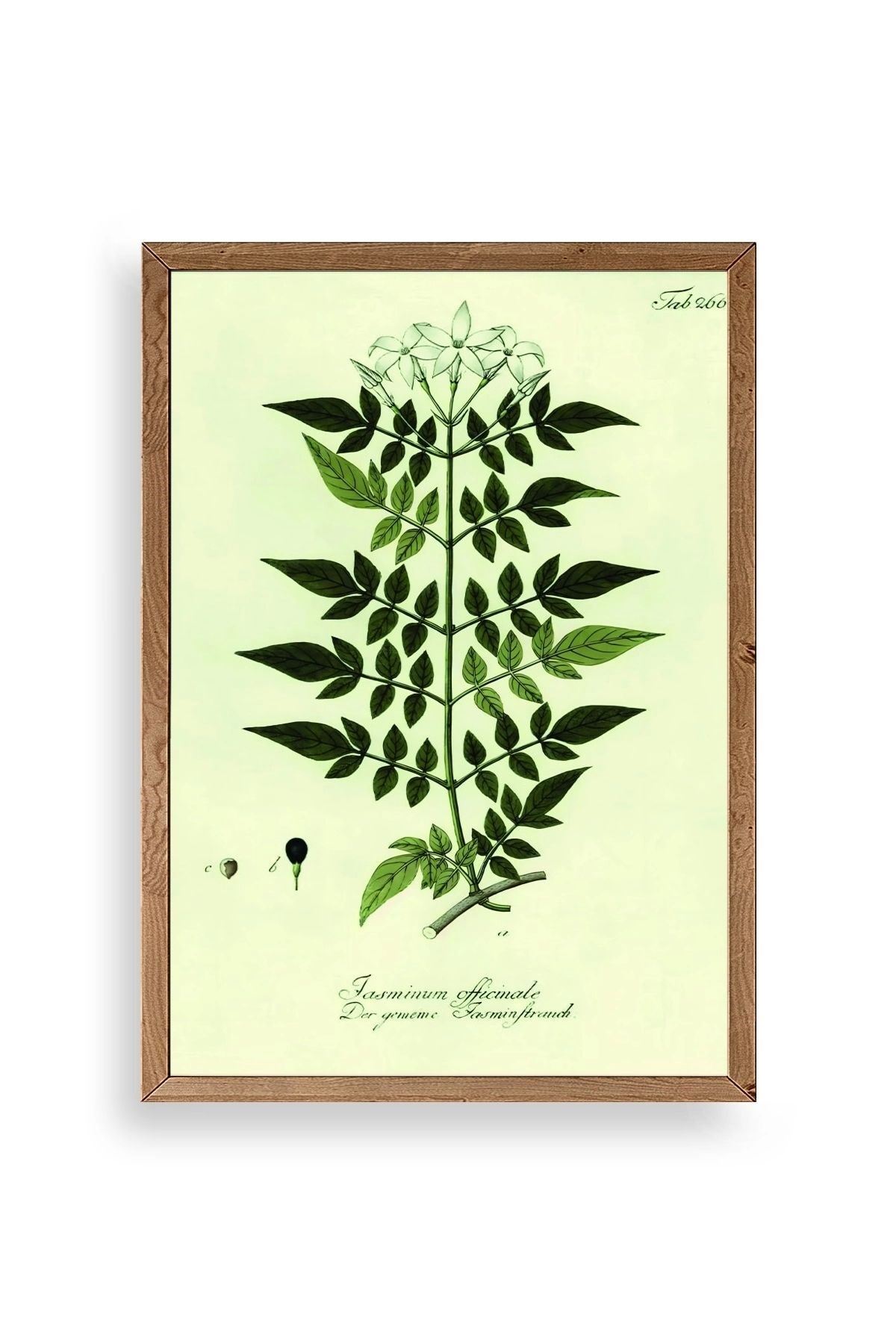 Yapraklar Ahşap Çerçeveli Tablo 17 x 23