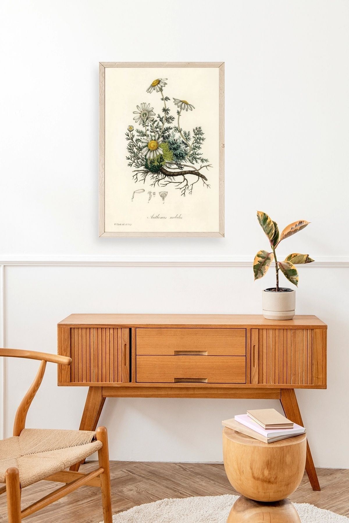 Papatya Ahşap Çerçeveli Tablo 17 x 23