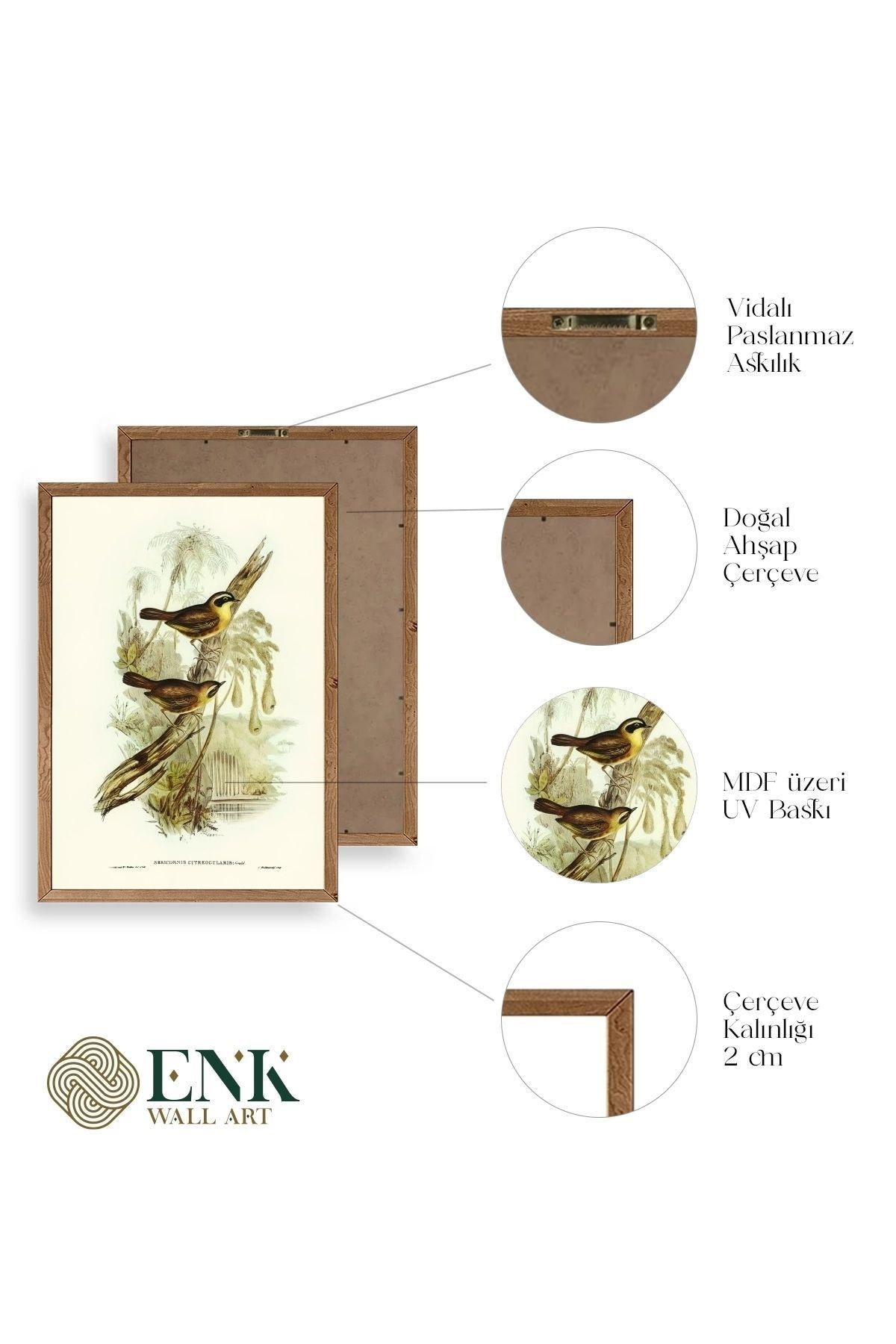 Kuşlar Ahşap Çerçeveli Tablo 50 x 70