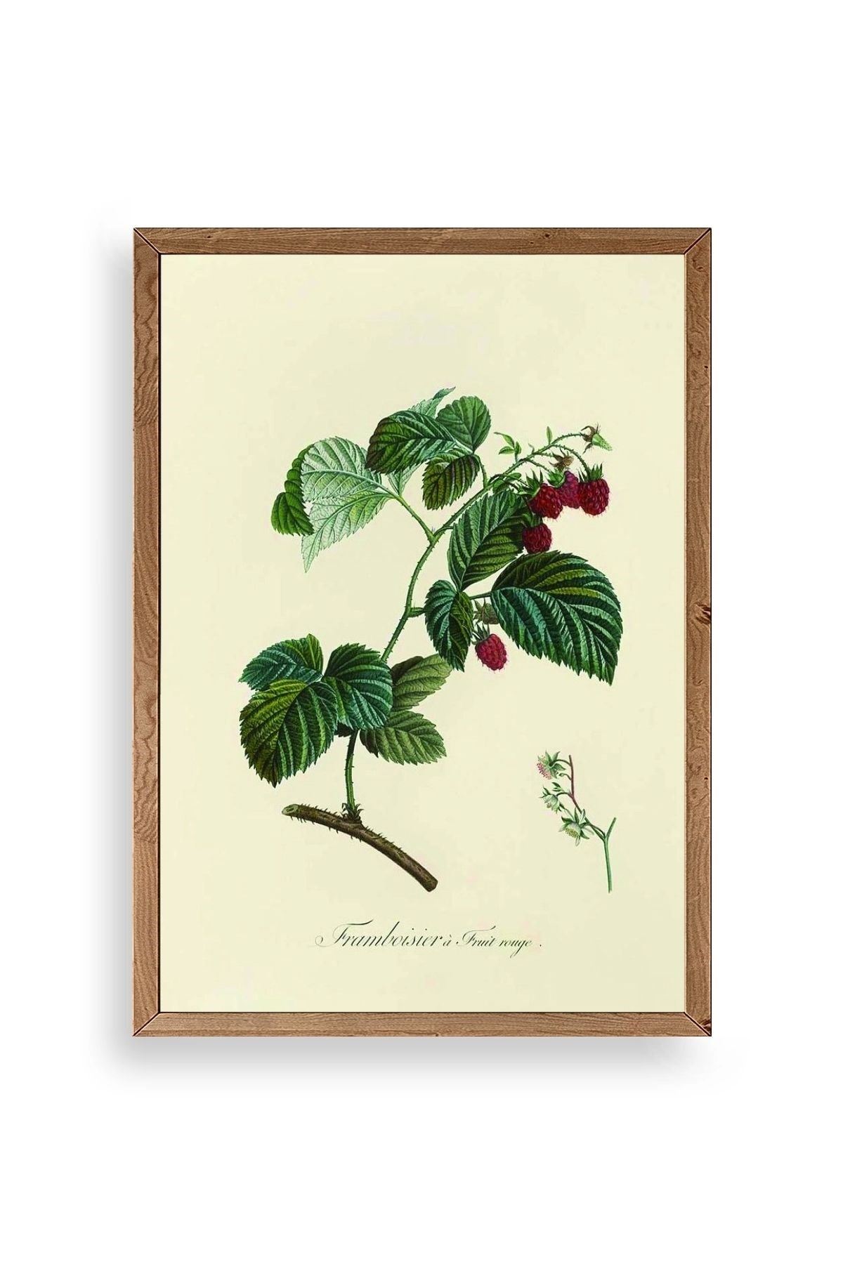 Yaprak Ahşap Çerçeveli Tablo 50 x 70