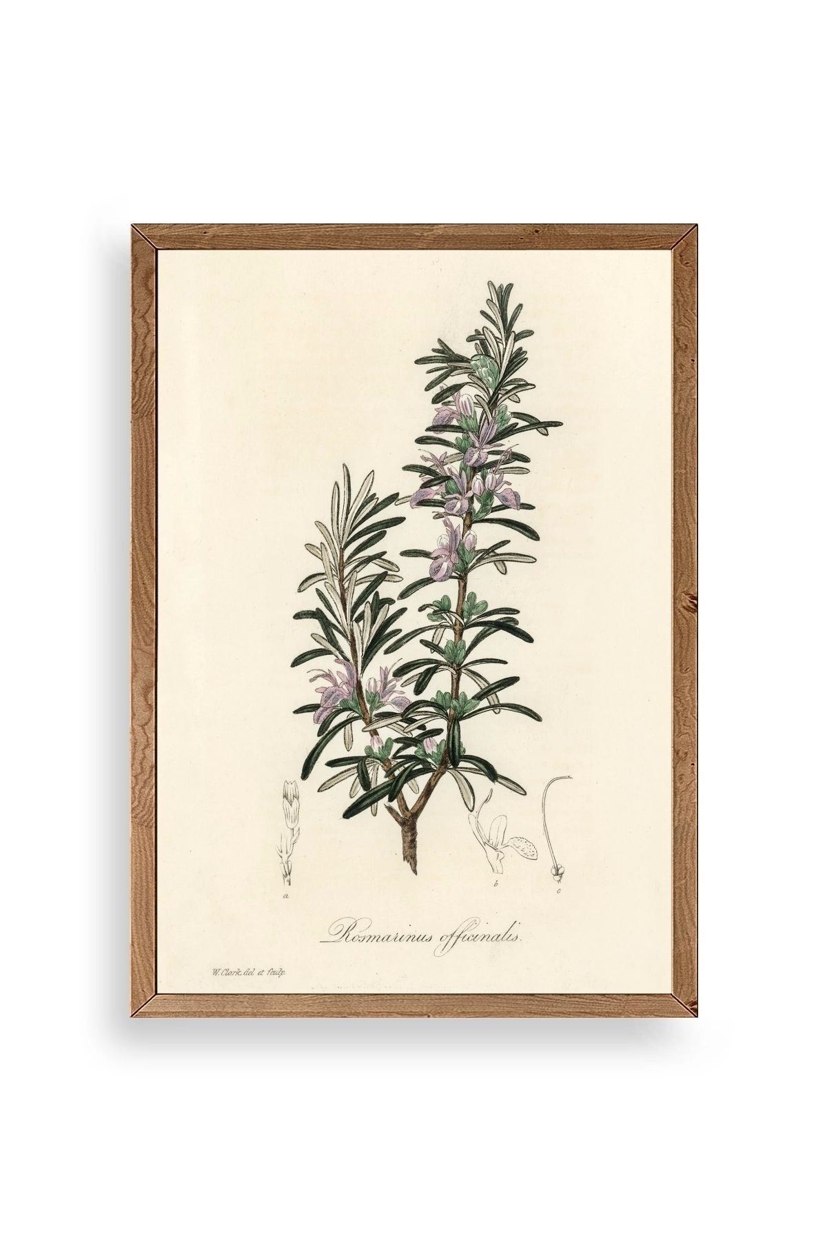 Yaprak Ahşap Çerçeveli Tablo 50 x 70