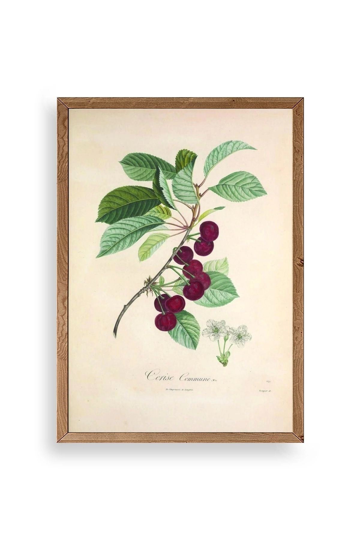 Meyveler Ahşap Çerçeveli Tablo 30 x 42