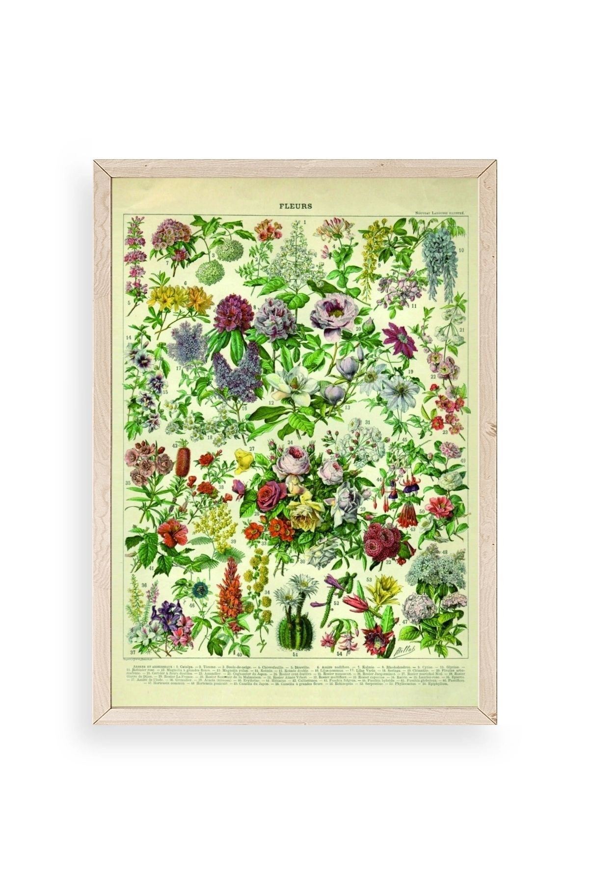 Çiçekler Ahşap Çerçeveli Tablo 17 x 23